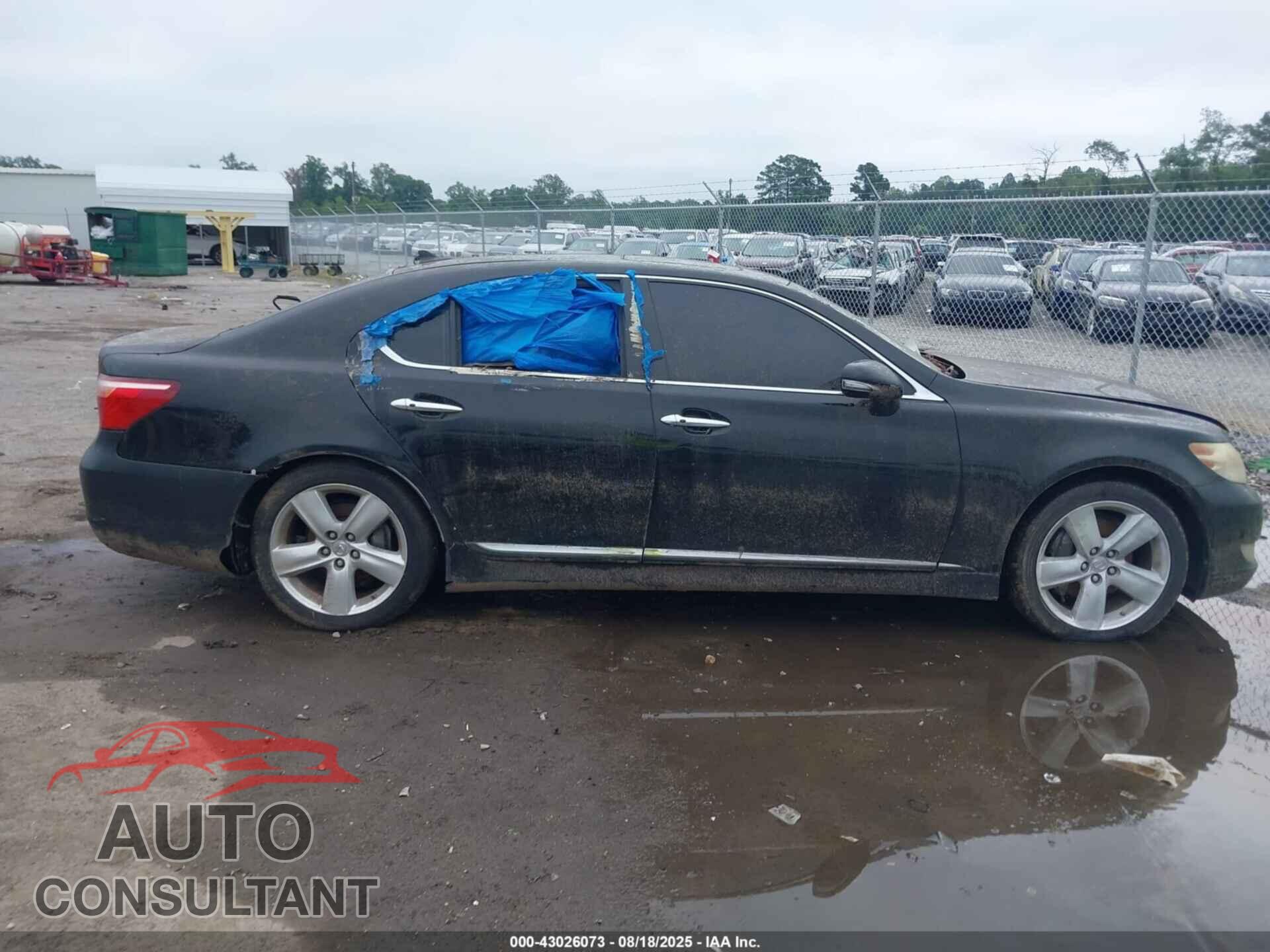 LEXUS LS 460 2010 - JTHBL5EF6A5097363