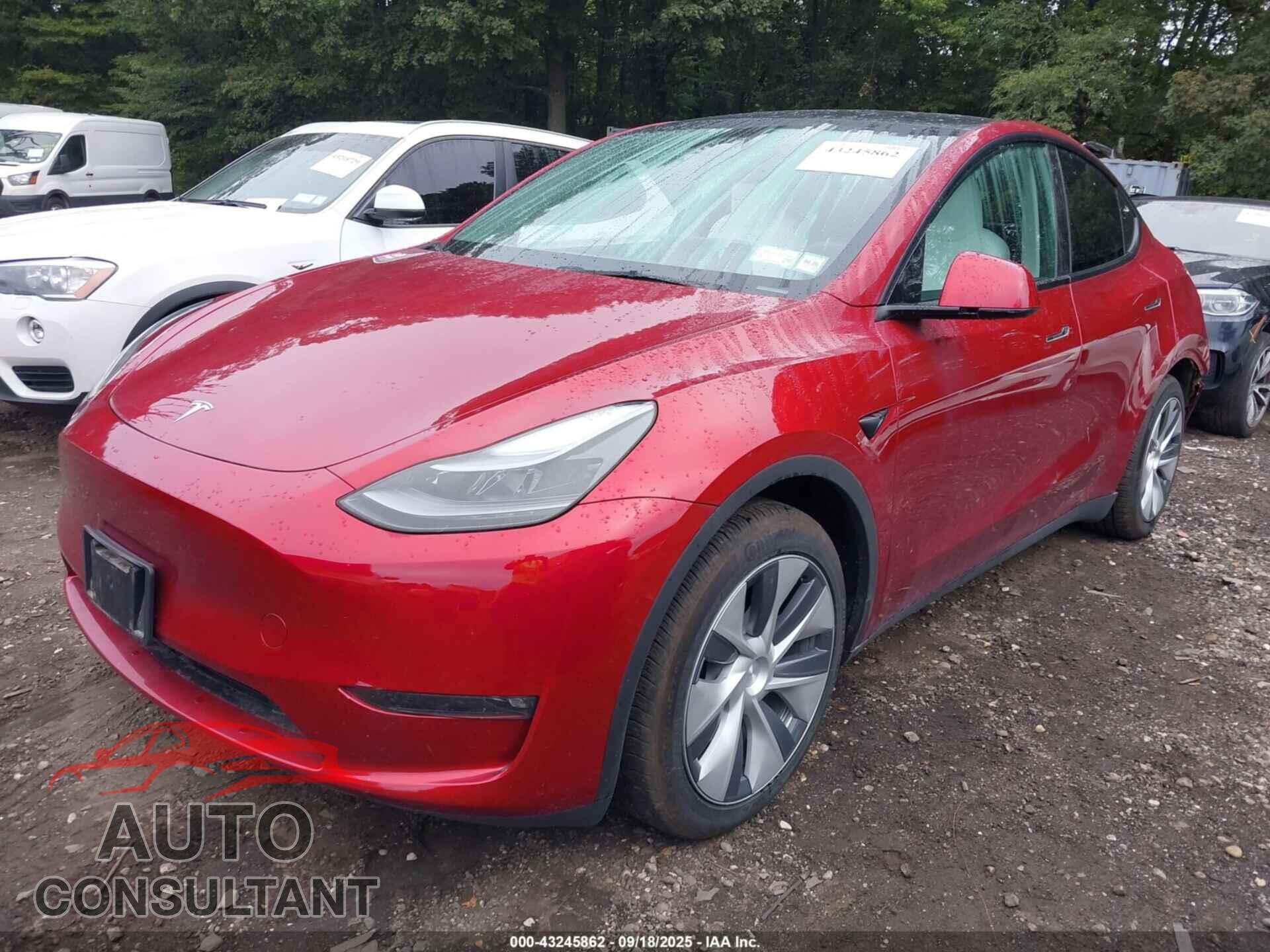 TESLA MODEL Y 2024 - 7SAYGAEE3RF032953