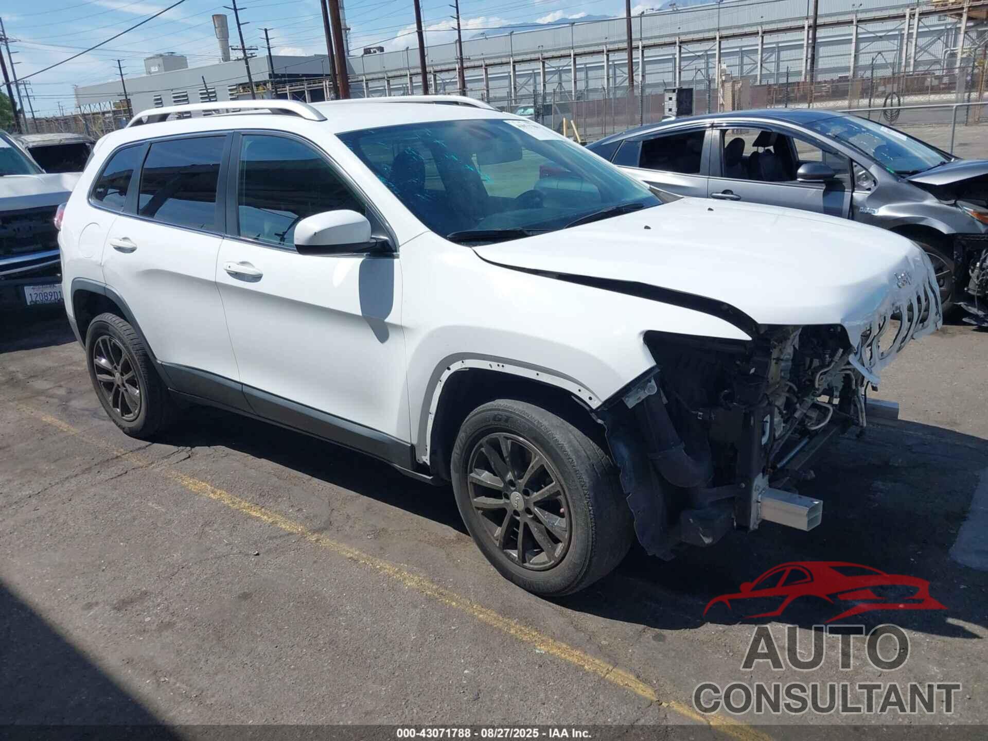 JEEP CHEROKEE 2019 - 1C4PJLLN7KD151837