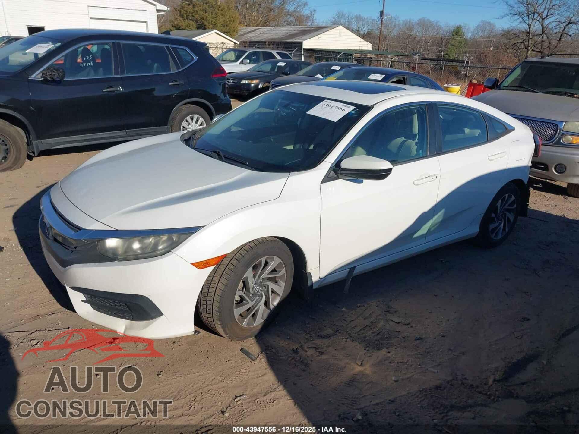HONDA CIVIC 2016 - 2HGFC2F72GH516661