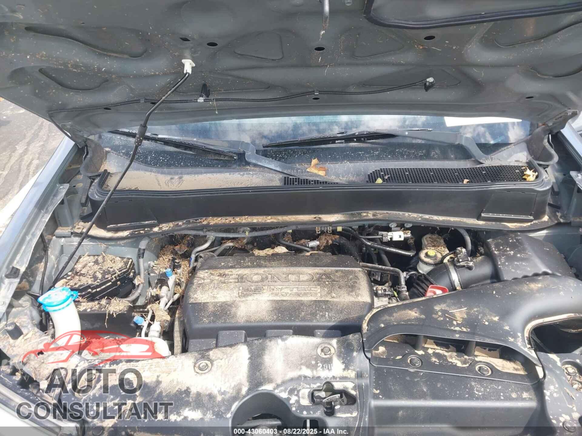 HONDA PILOT 2011 - 5FNYF4H96BB024397