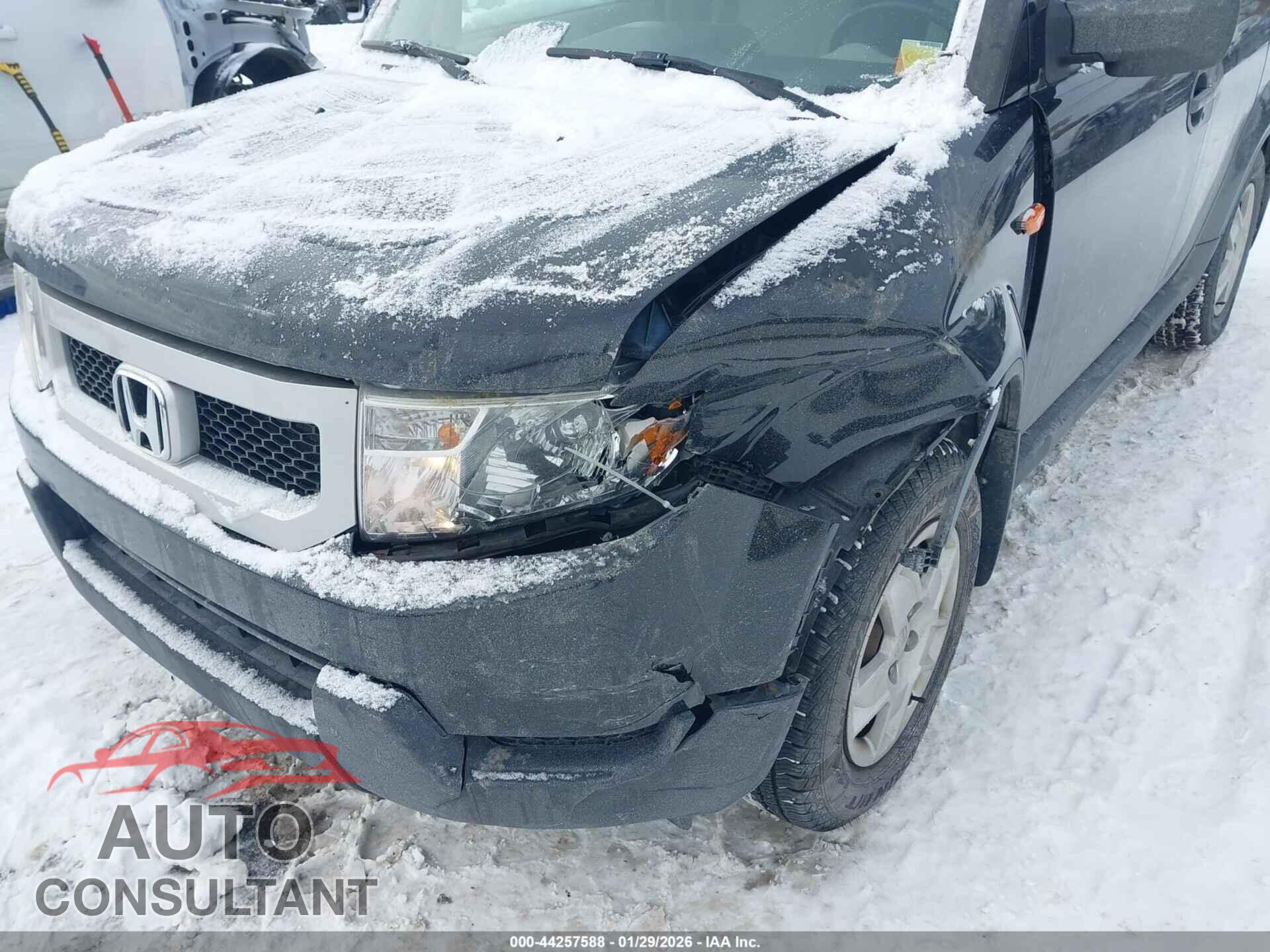 HONDA ELEMENT 2011 - 5J6YH2H31BL003796