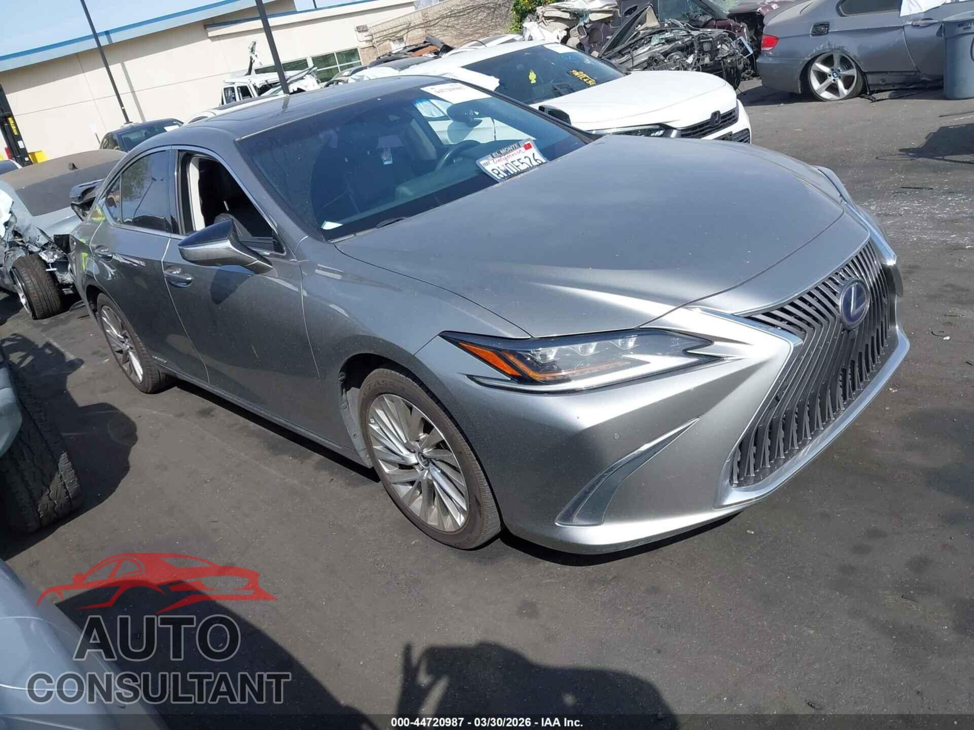LEXUS ES 300H 2021 - 58AEA1C10MU006932