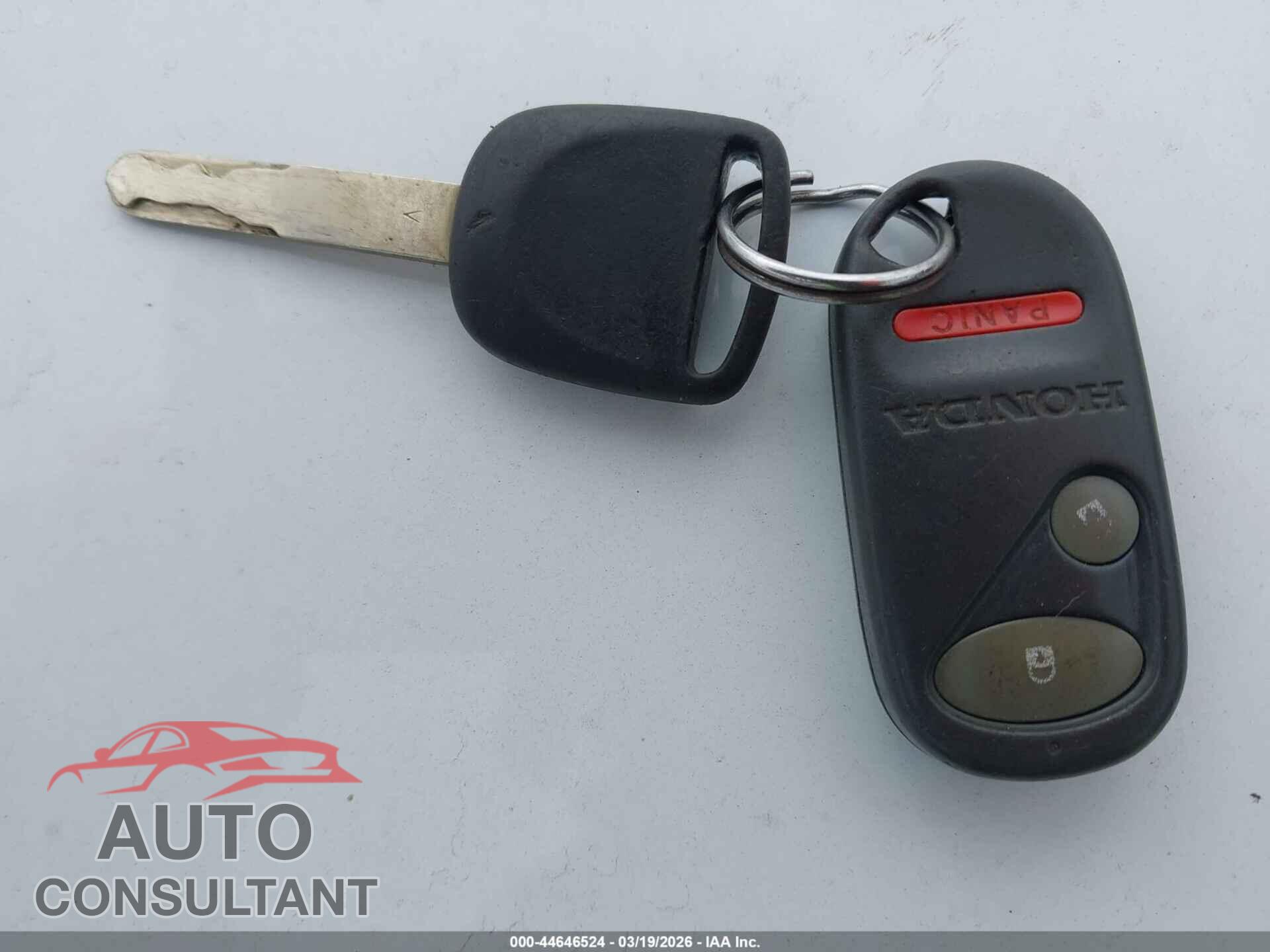 HONDA ELEMENT 2009 - 5J6YH18729L004690