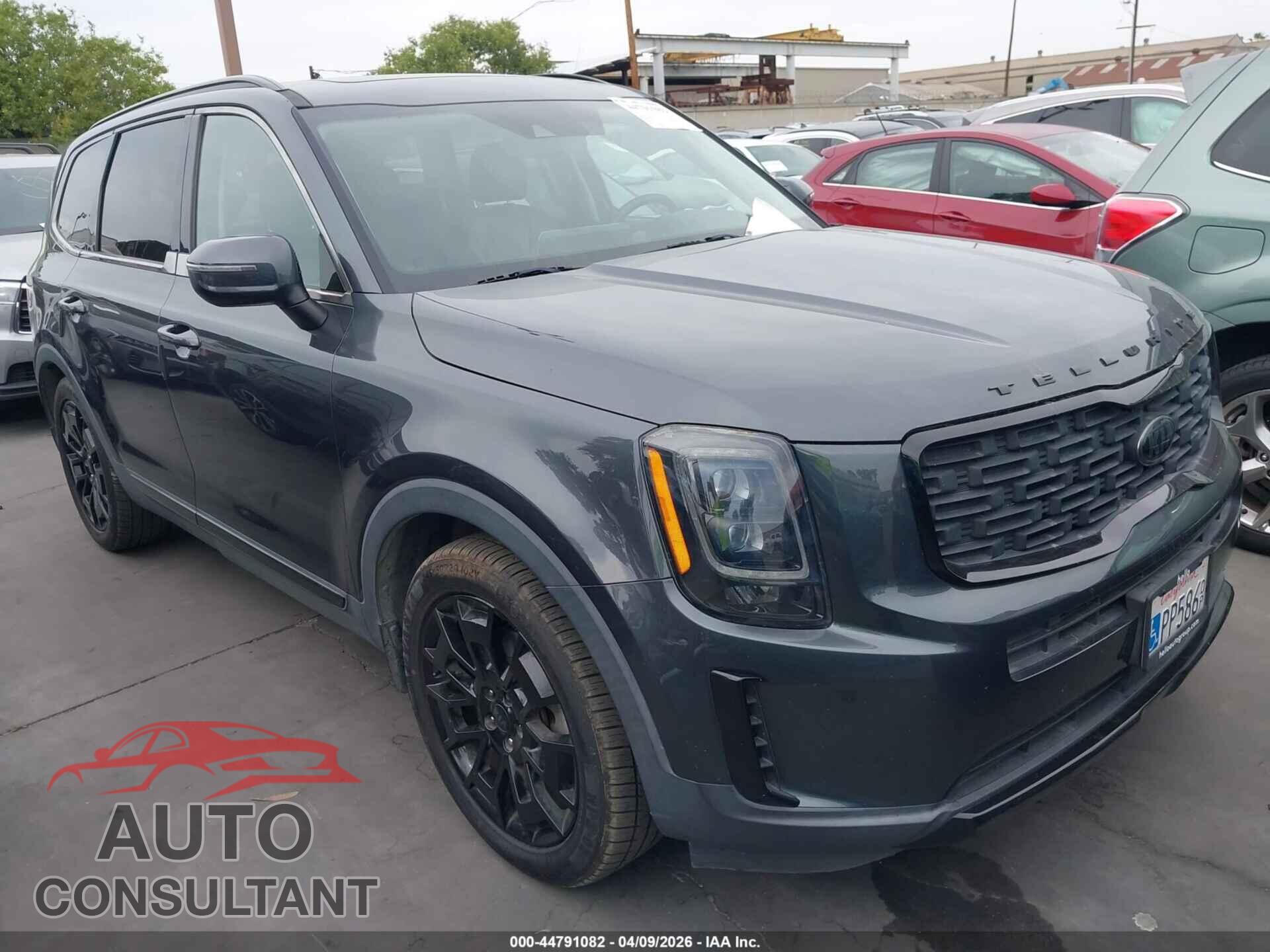 KIA TELLURIDE 2021 - 5XYP3DHC8MG111908