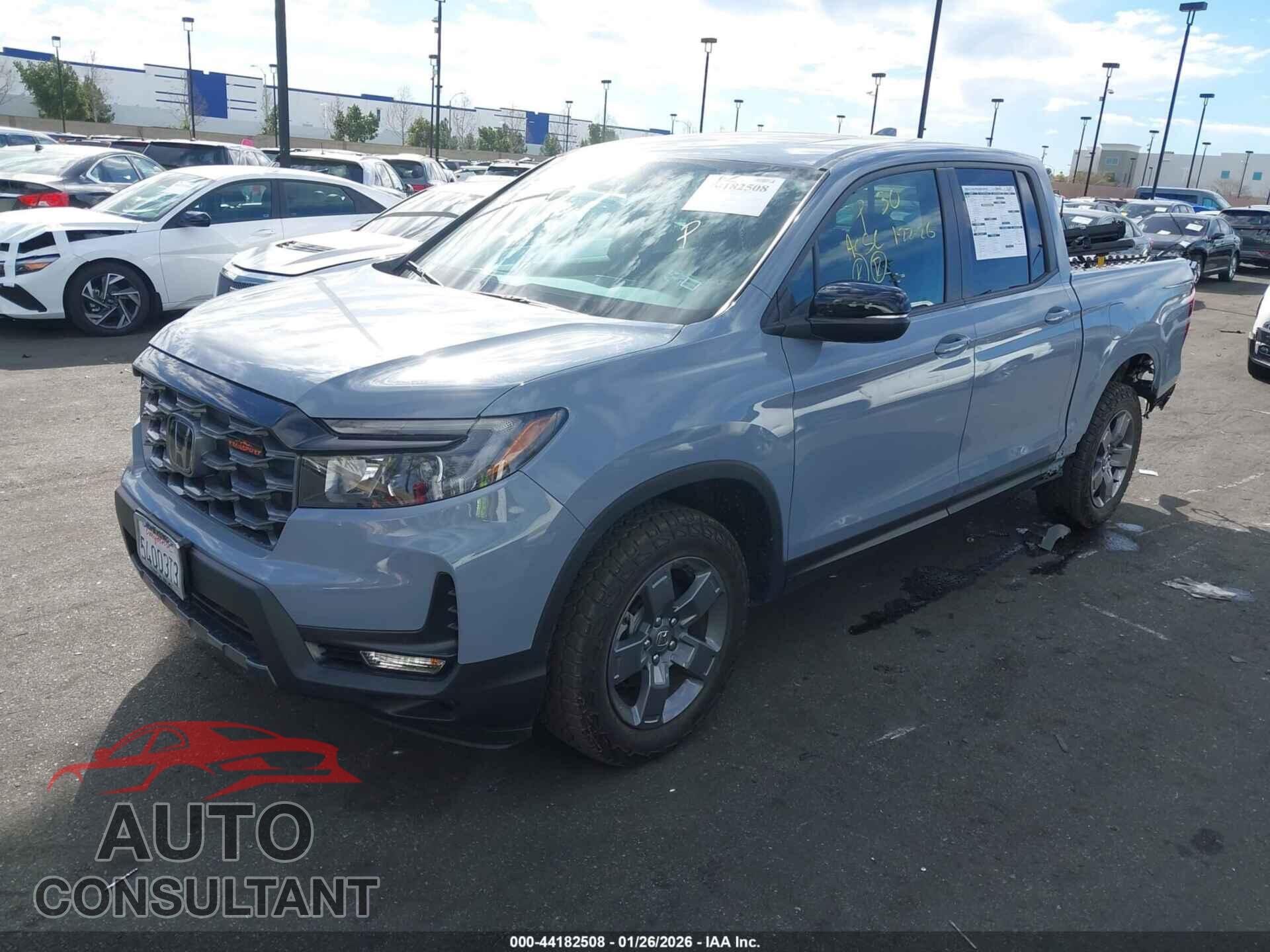HONDA RIDGELINE 2024 - 5FPYK3F61RB026302