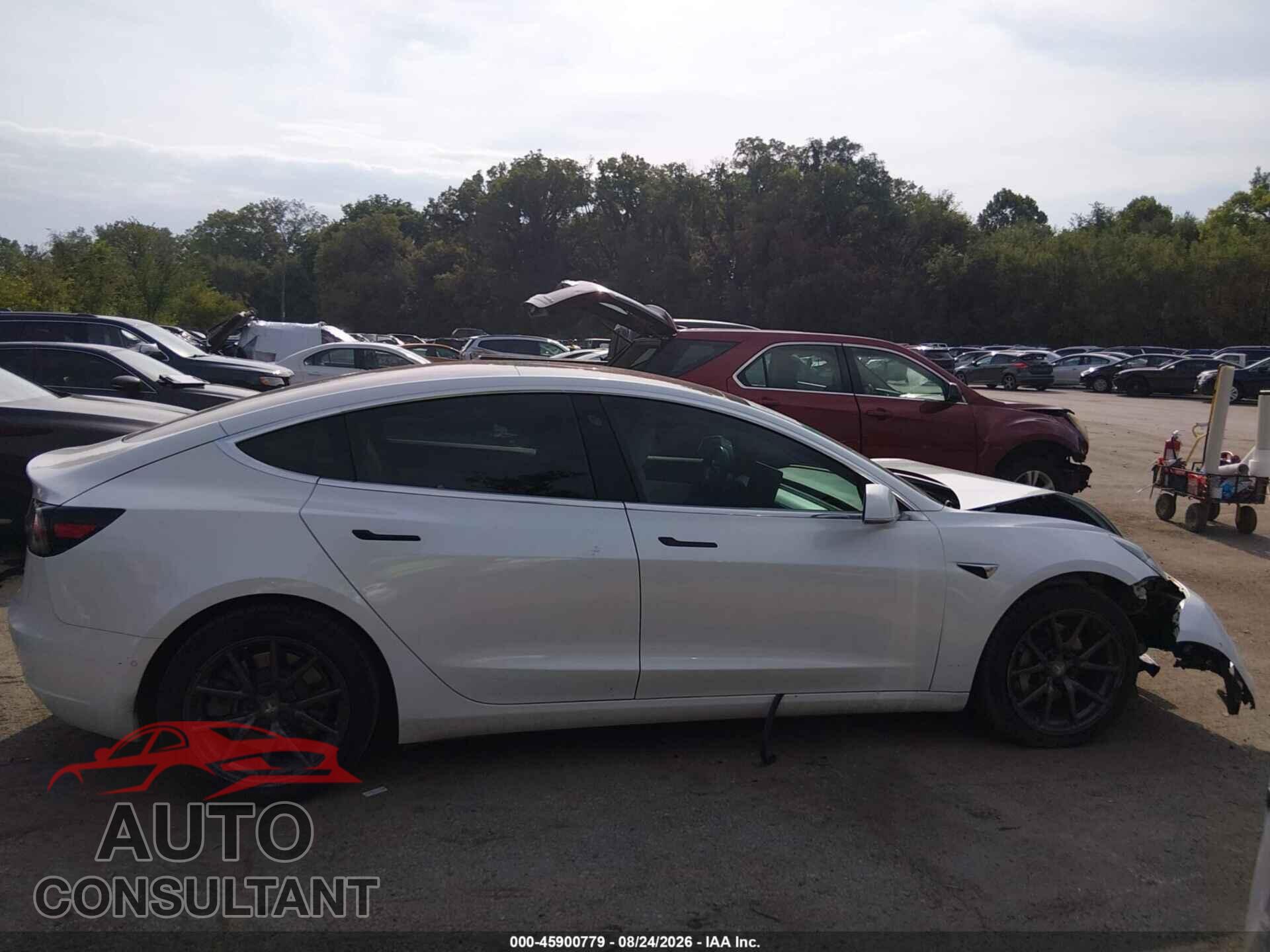 TESLA MODEL 3 2019 - 5YJ3E1EB9KF192277