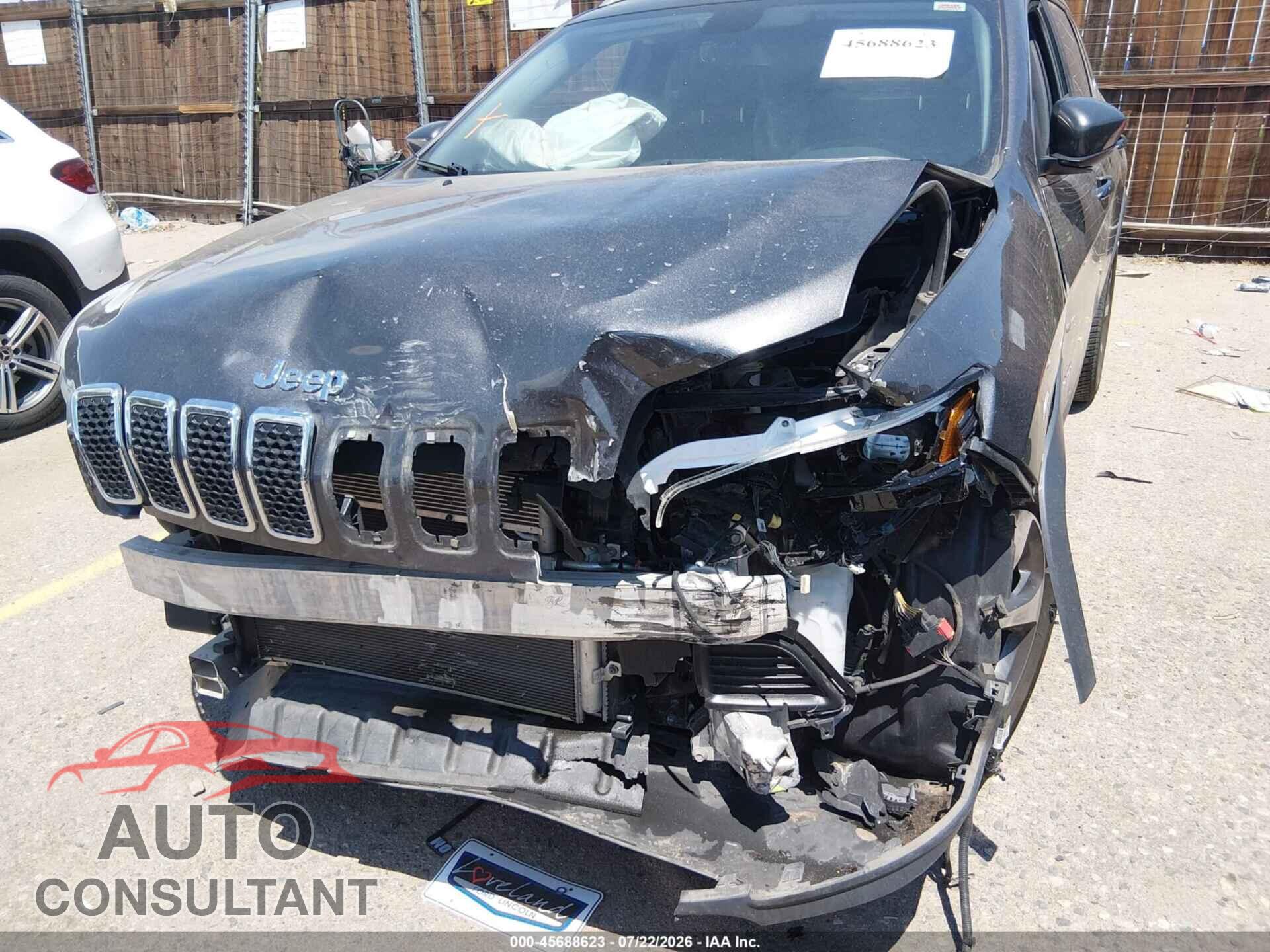 JEEP CHEROKEE 2019 - 1C4PJMDX1KD114885