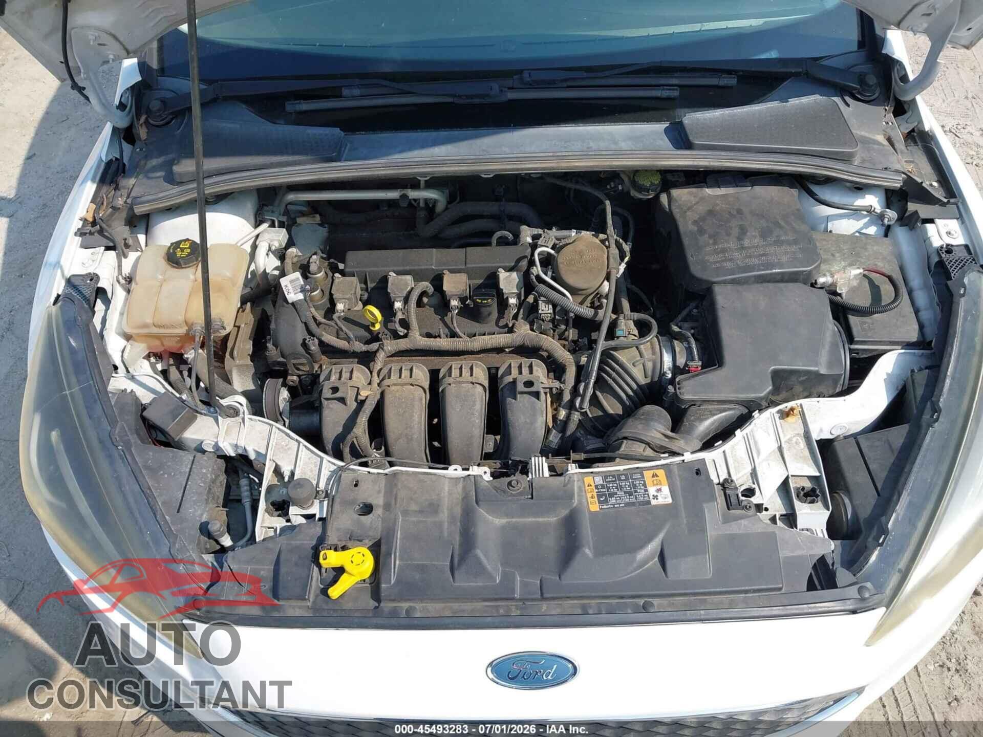 FORD FOCUS 2016 - 1FADP3F2XGL300571