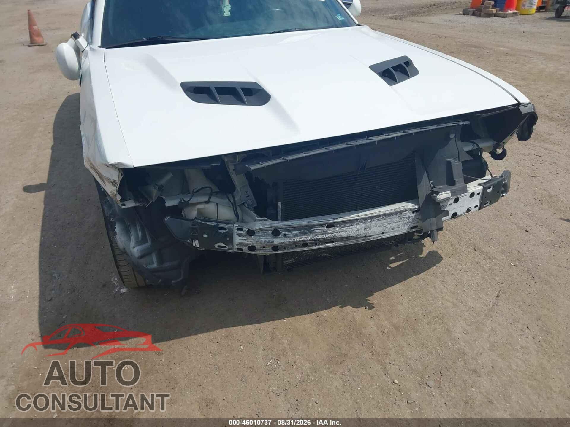 DODGE CHALLENGER 2019 - 2C3CDZAG3KH701748