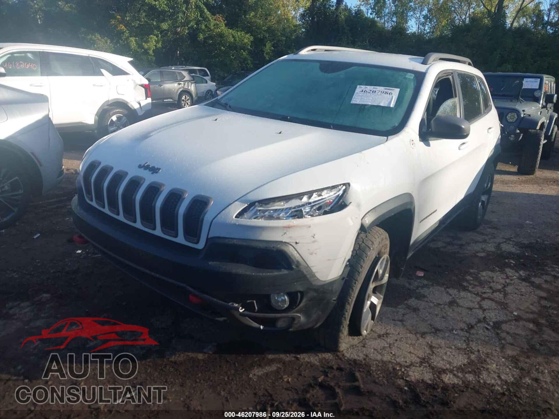 JEEP CHEROKEE 2014 - 1C4PJMBB9EW308712