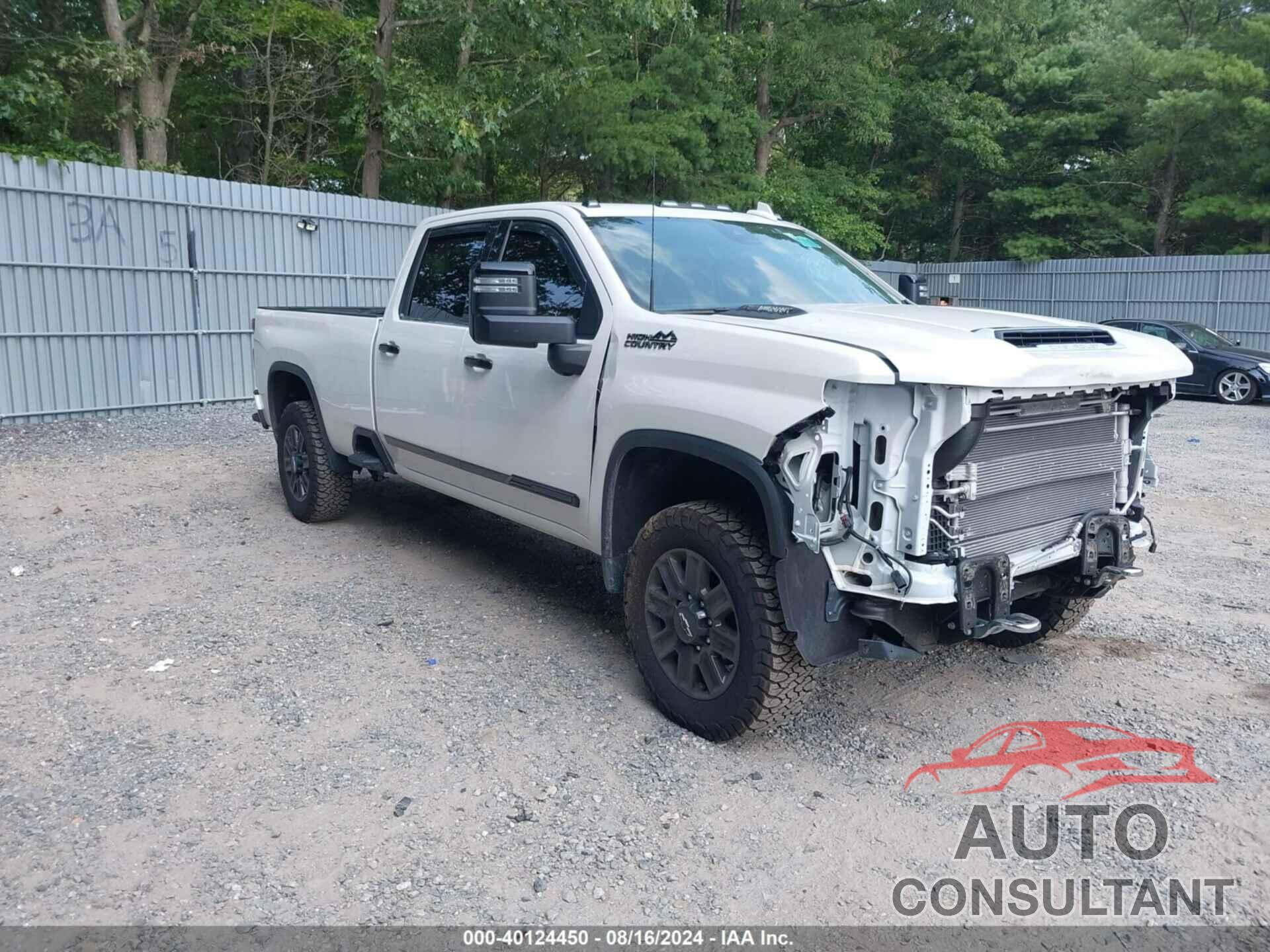 CHEVROLET SILVERADO 3500HD 2024 - 1GC4YVEY5RF187509