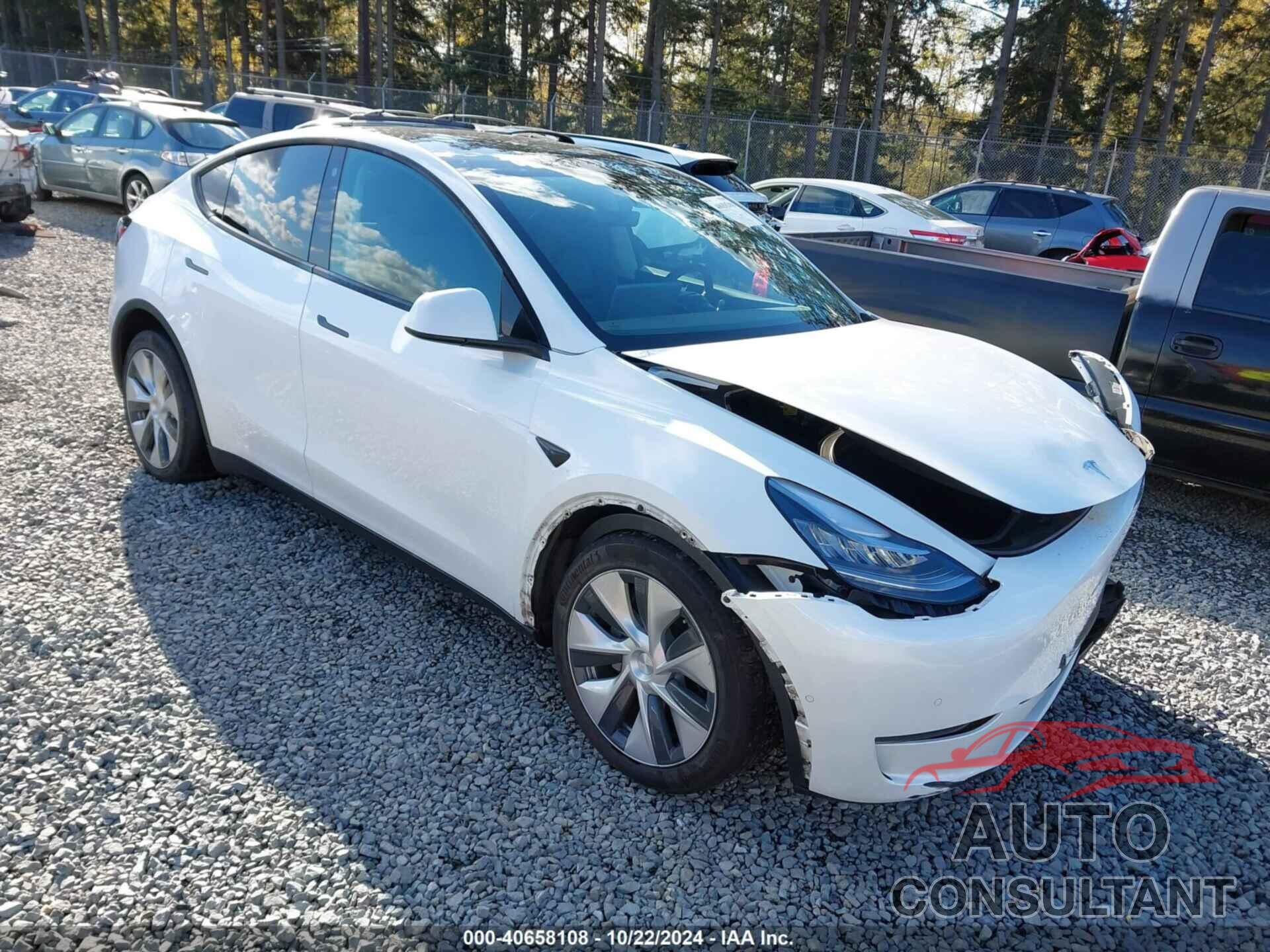 TESLA MODEL Y 2021 - 5YJYGDEE2MF271868