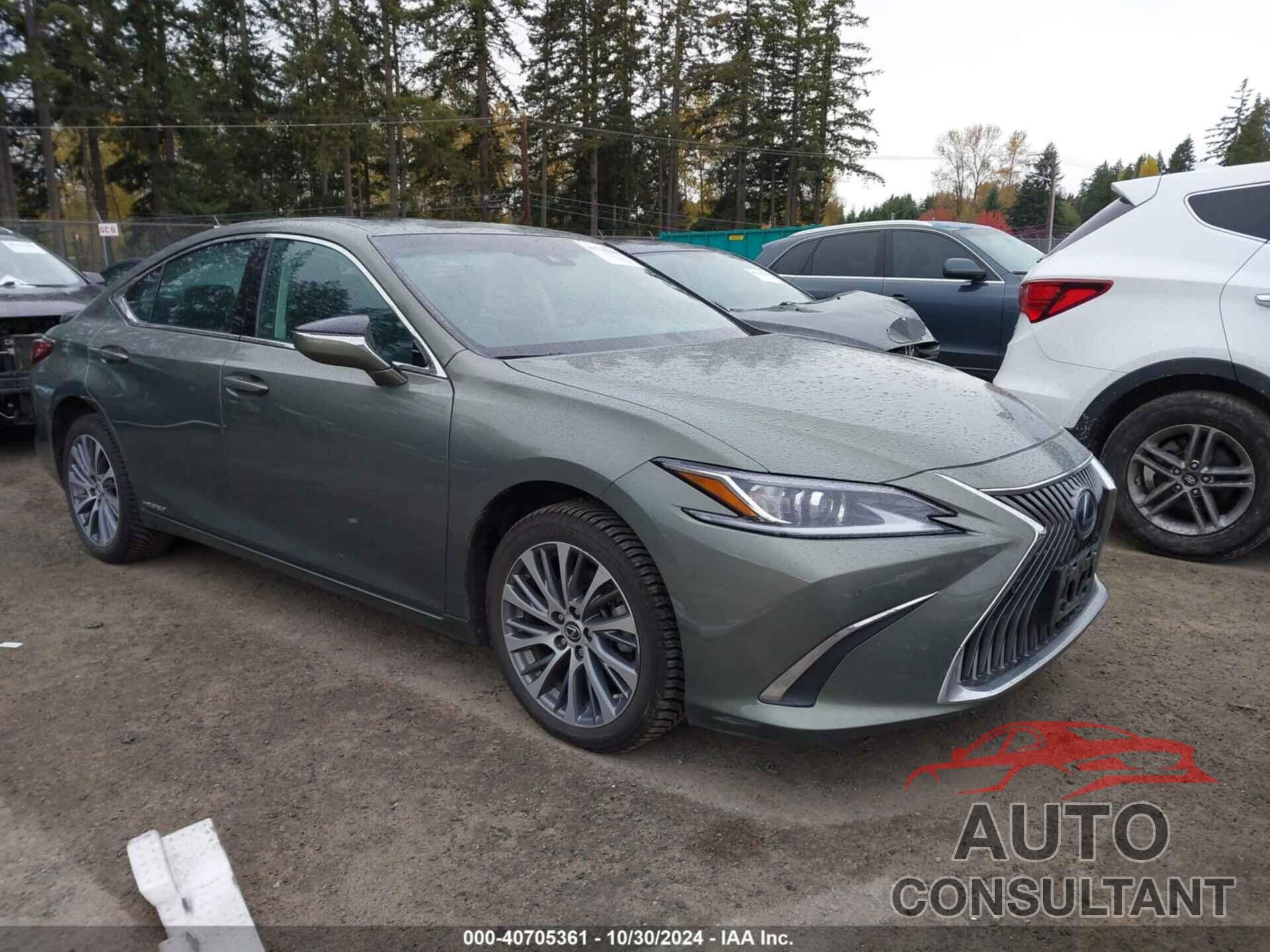 LEXUS ES 300H 2020 - 58AD21B1XLU008776