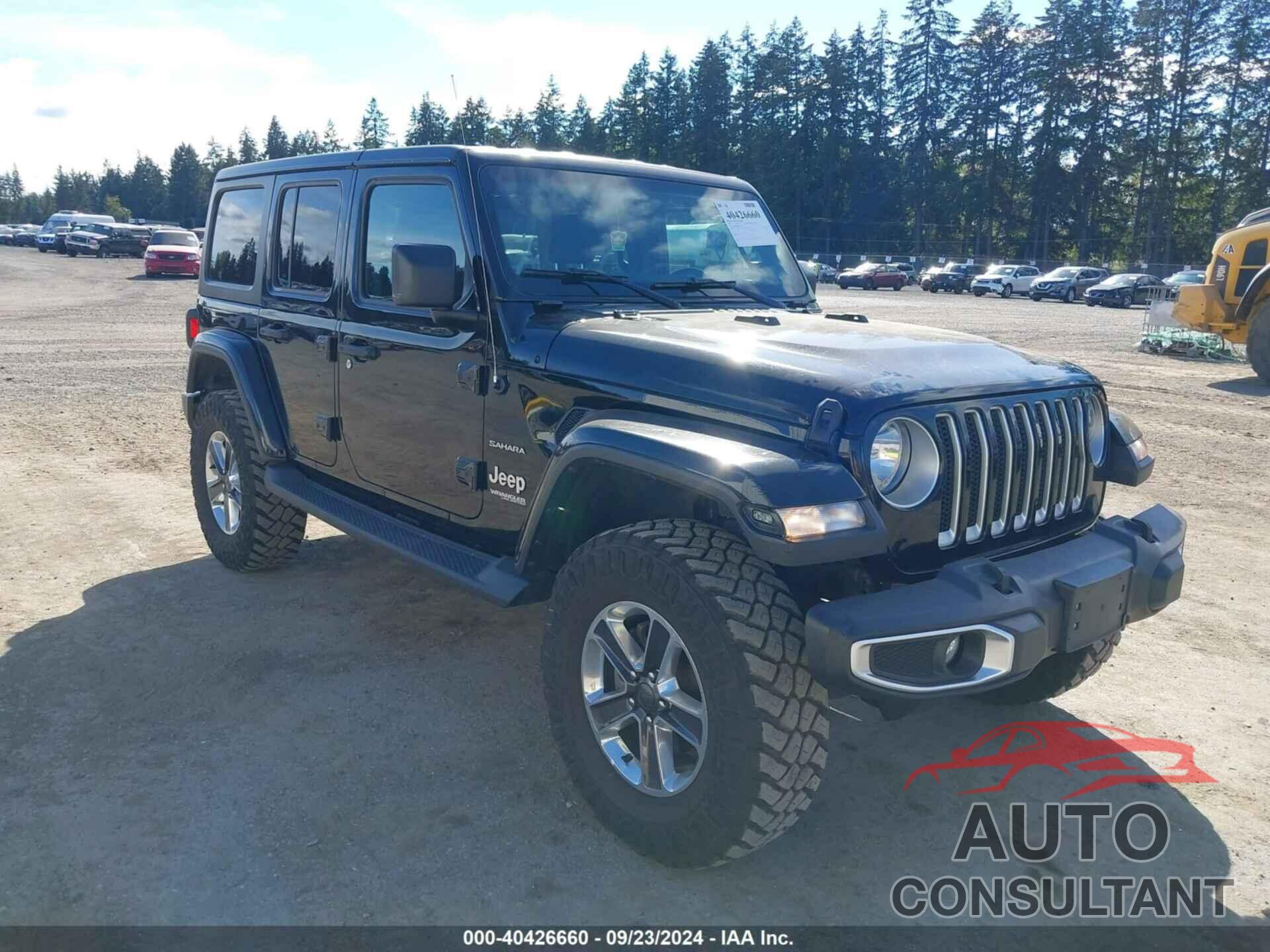 JEEP WRANGLER UNLIMITED 2019 - 1C4HJXEG2KW527746