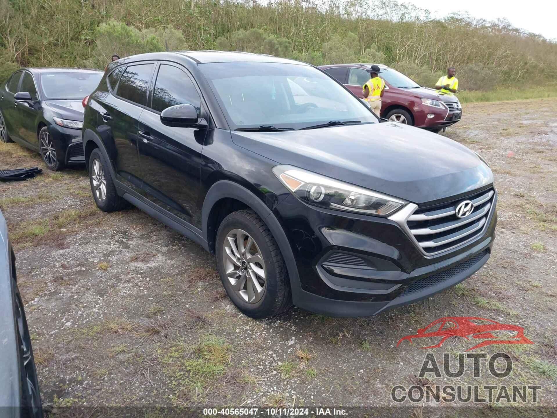 HYUNDAI TUCSON 2017 - KM8J23A43HU429828