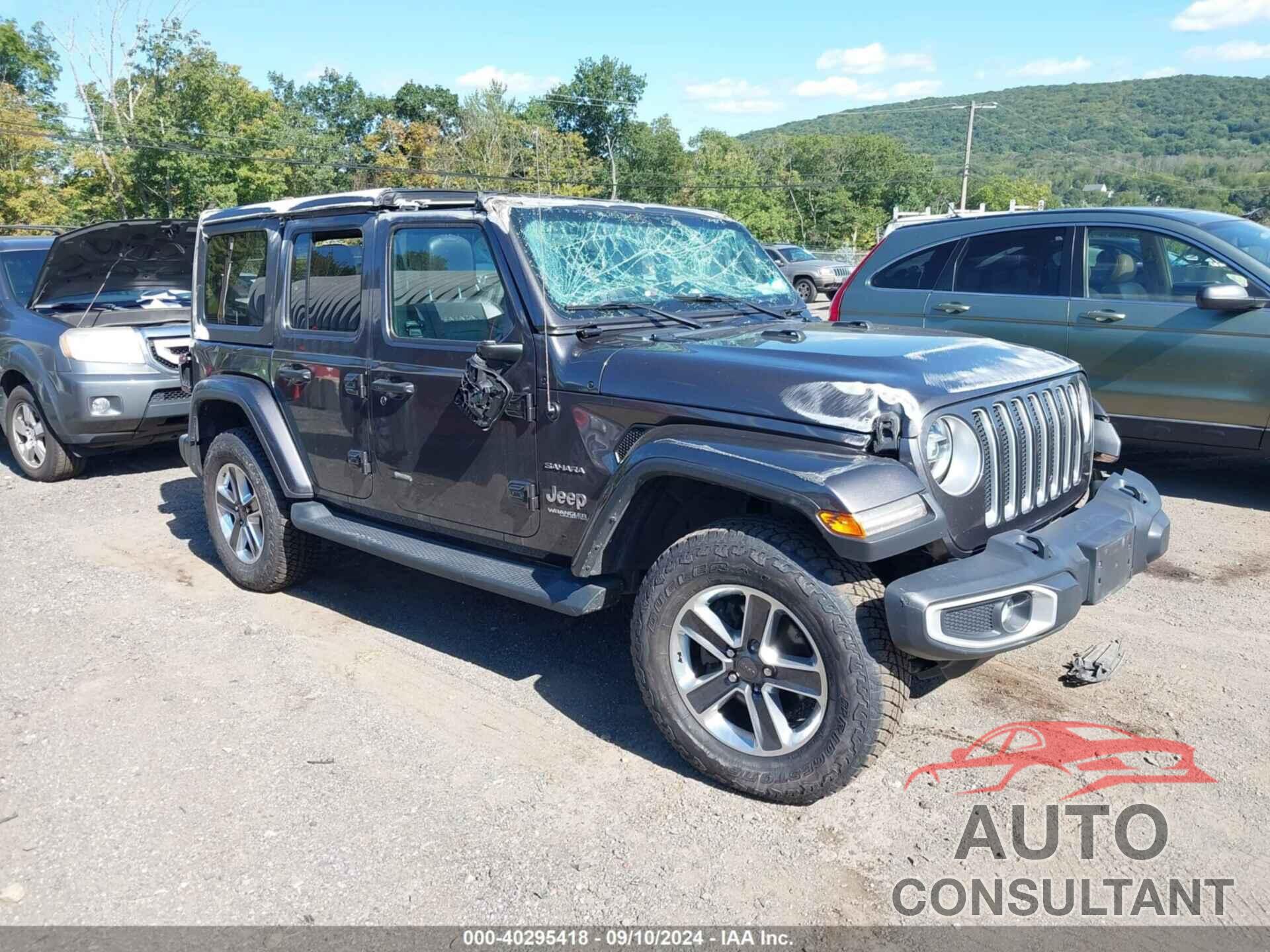 JEEP WRANGLER UNLIMITED 2019 - 1C4HJXEN0KW690605