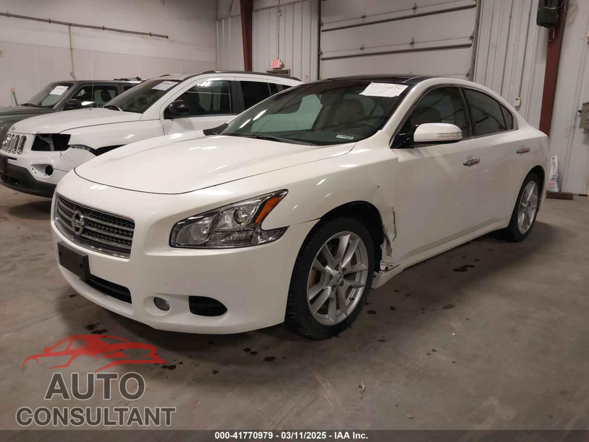 NISSAN MAXIMA 2011 - 1N4AA5AP1BC828785