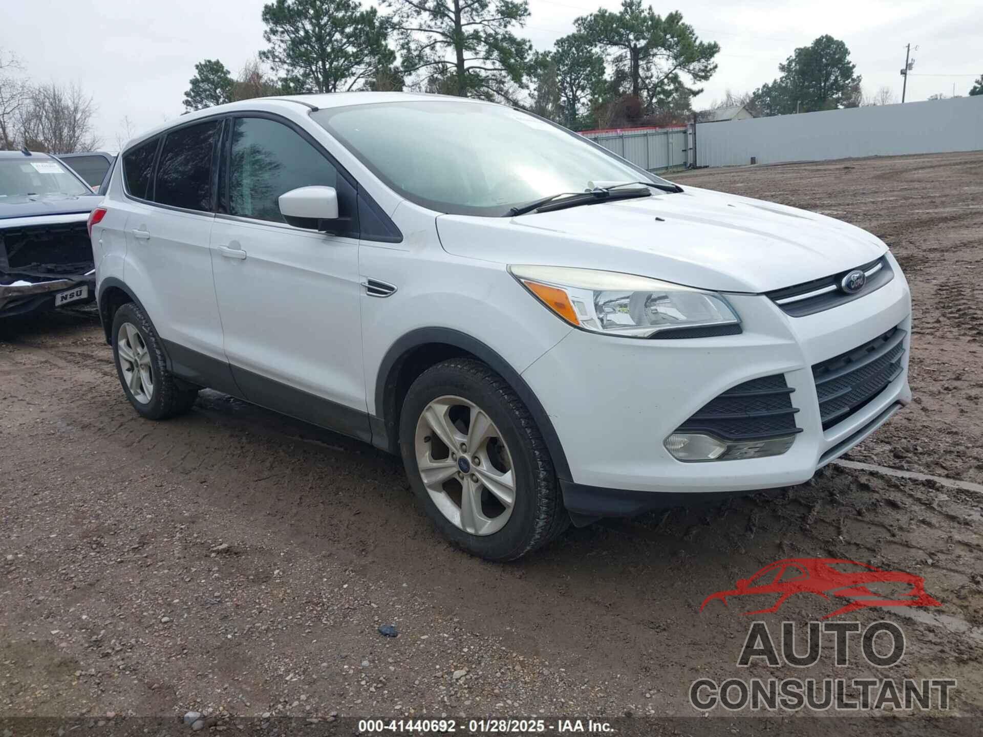 FORD ESCAPE 2013 - 1FMCU0GXXDUA47907