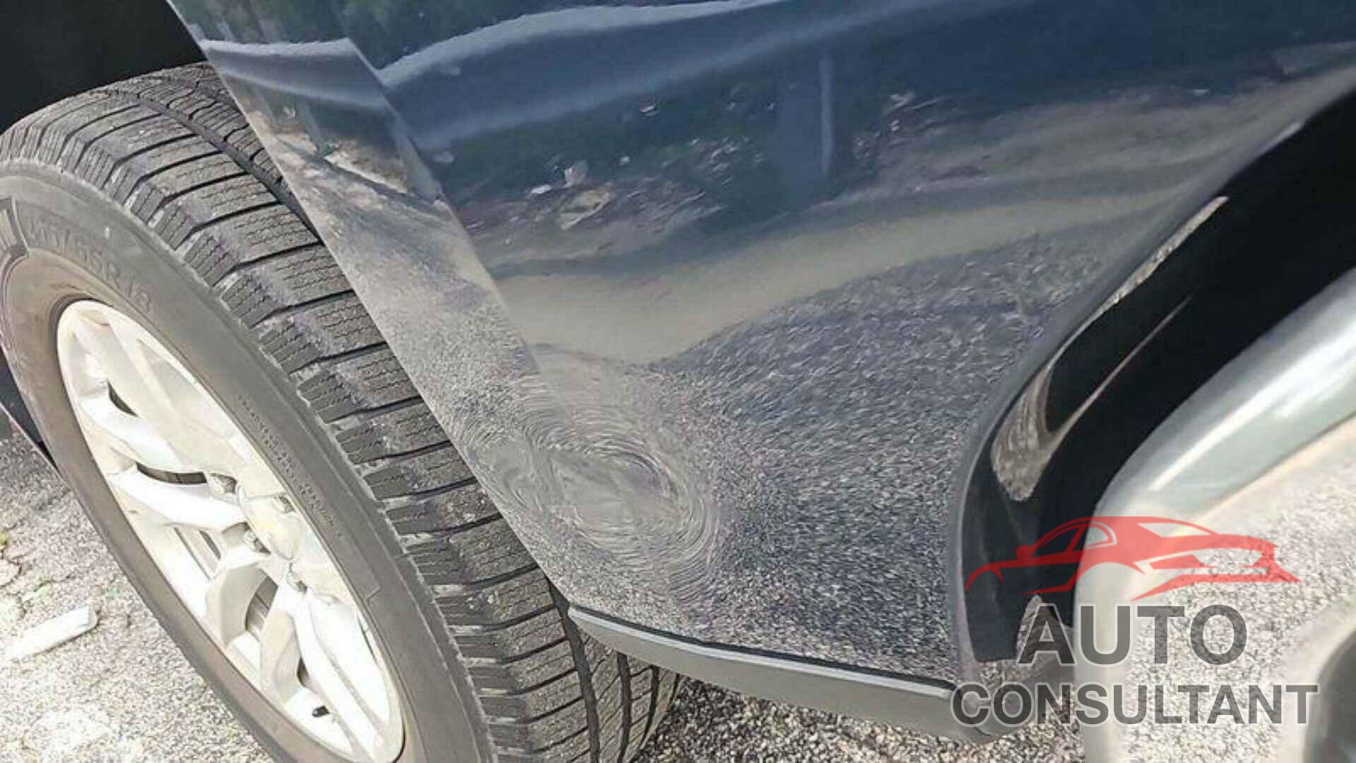 CHEVROLET SILVERADO 2020 - 1GCRWEEDXLZ105465