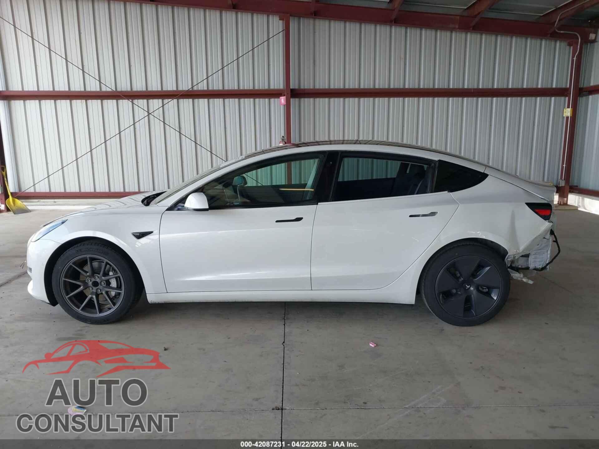 TESLA MODEL 3 2021 - 5YJ3E1EA2MF877005