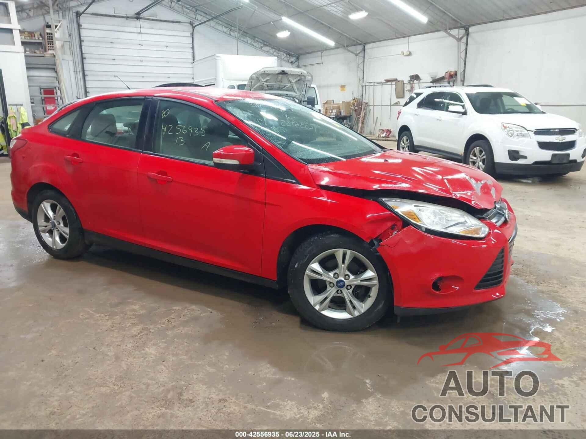 FORD FOCUS 2013 - 1FADP3F26DL162572