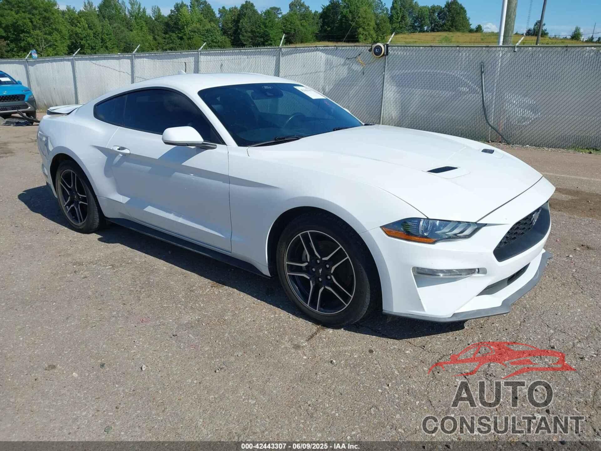 FORD MUSTANG 2023 - 1FA6P8TH3P5105186