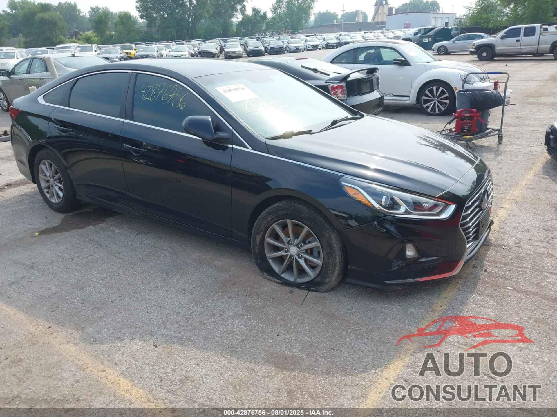 HYUNDAI SONATA 2019 - 5NPE24AF0KH777374
