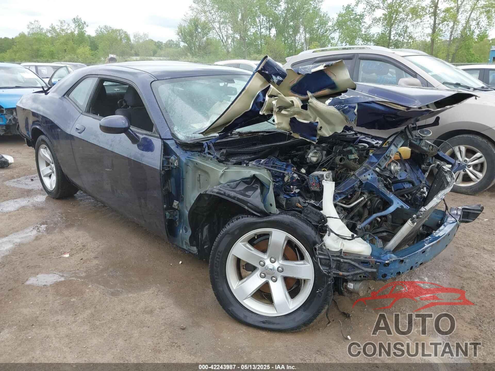 DODGE CHALLENGER 2013 - 2C3CDYAG3DH665962