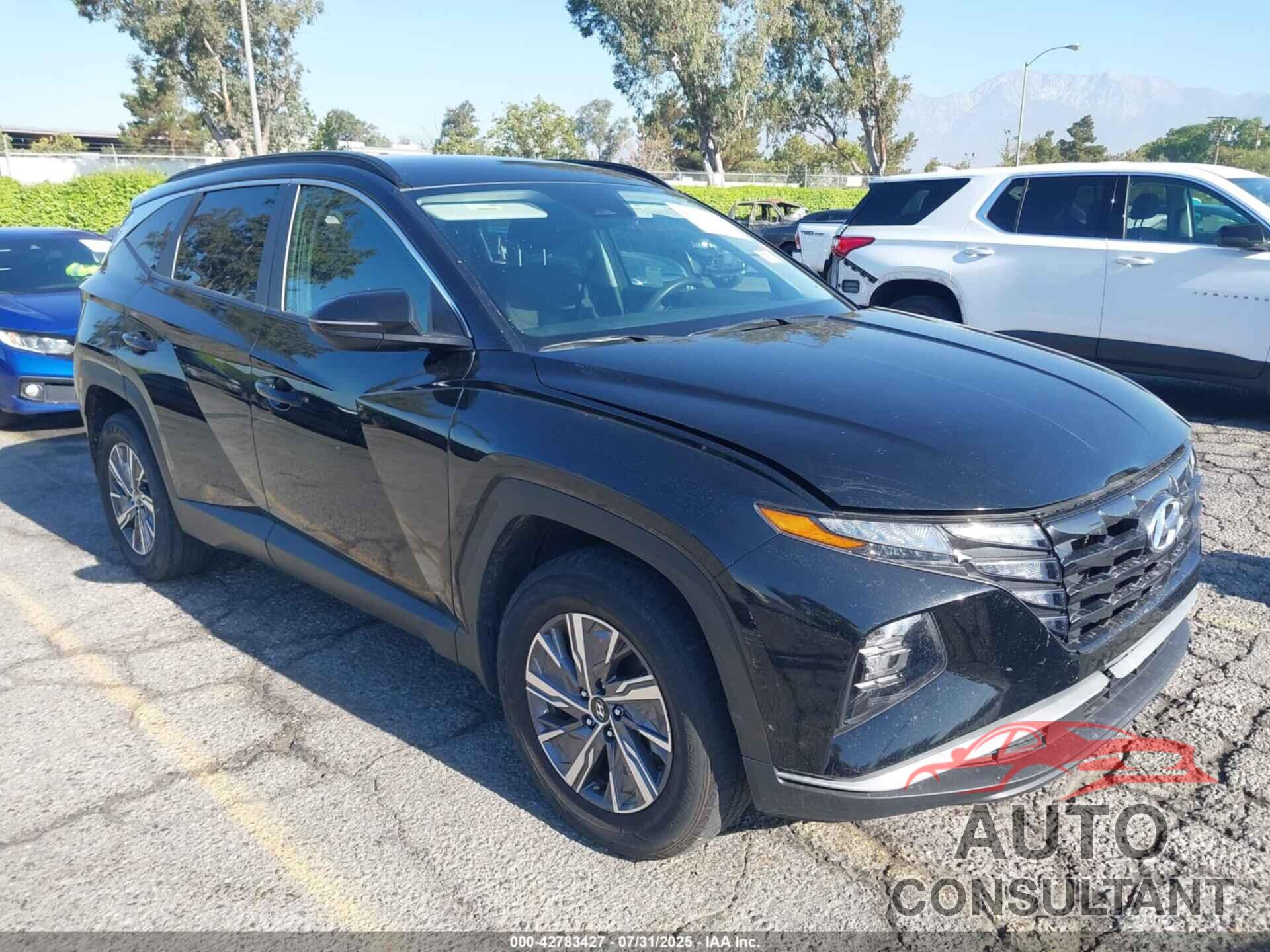 HYUNDAI TUCSON HYBRID 2022 - KM8JBCA12NU057058