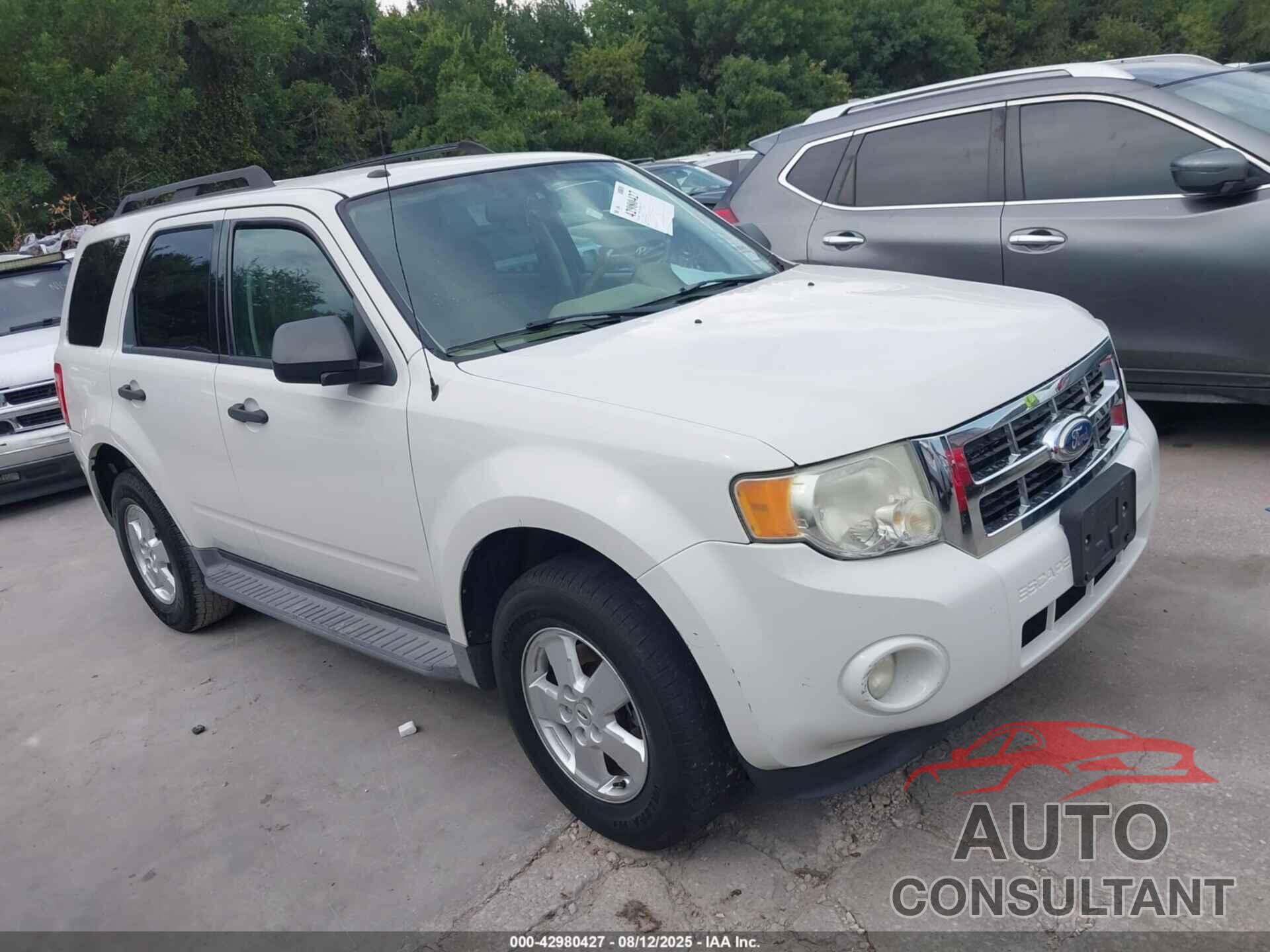FORD ESCAPE 2011 - 1FMCU0D76BKA87690