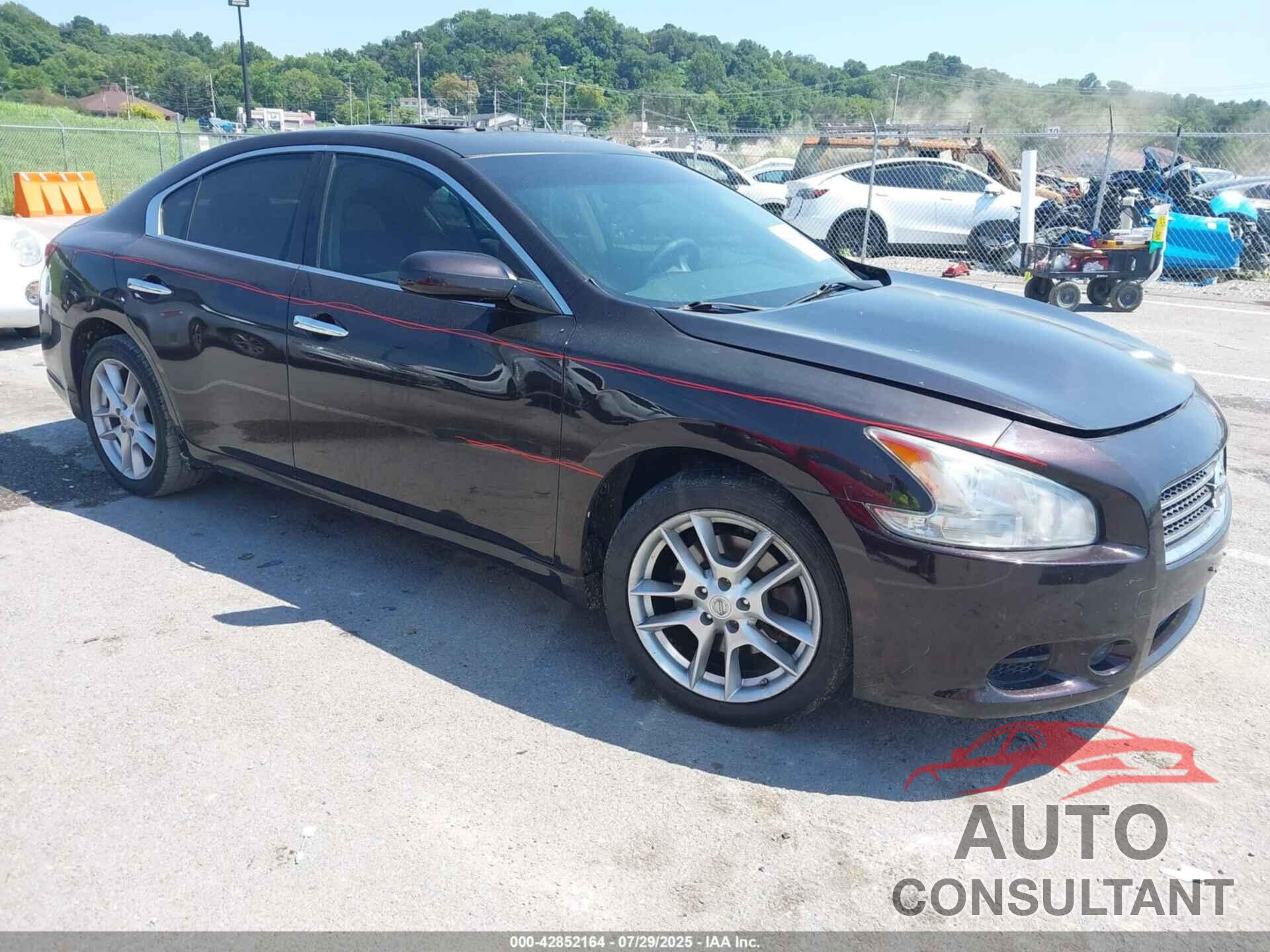 NISSAN MAXIMA 2010 - 1N4AA5AP7AC811746