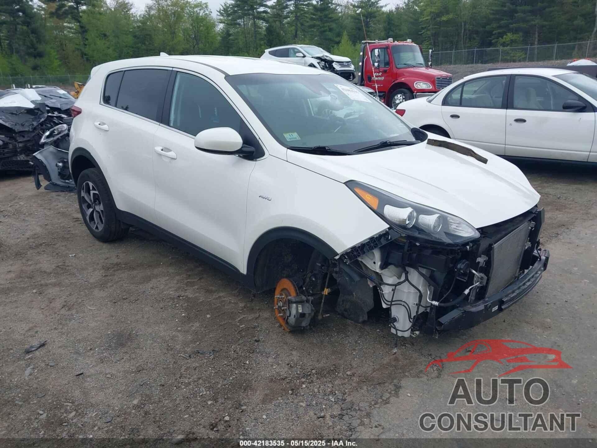 KIA SPORTAGE 2022 - KNDPMCAC3N7008041