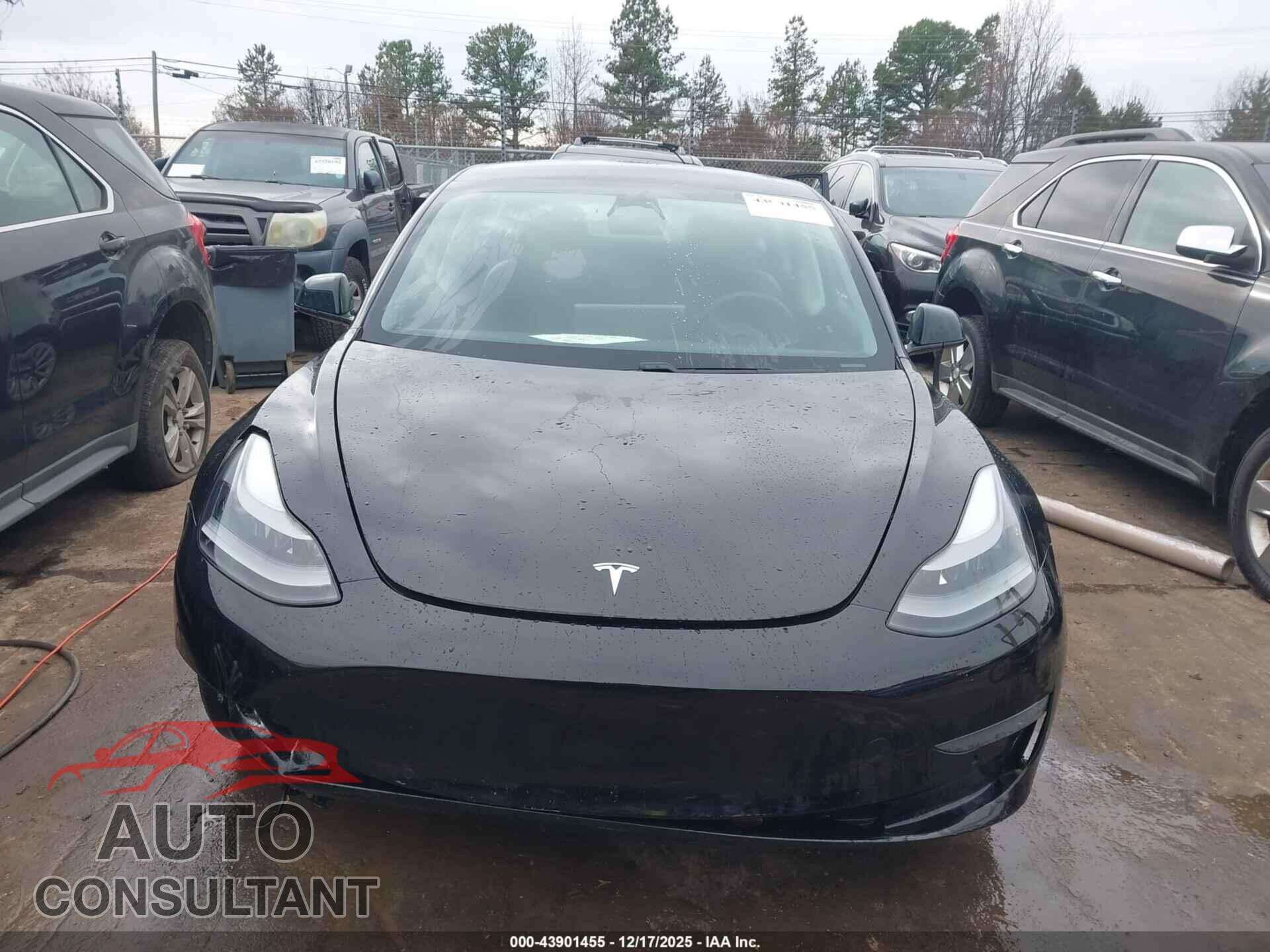TESLA MODEL 3 2021 - 5YJ3E1EB9MF974985