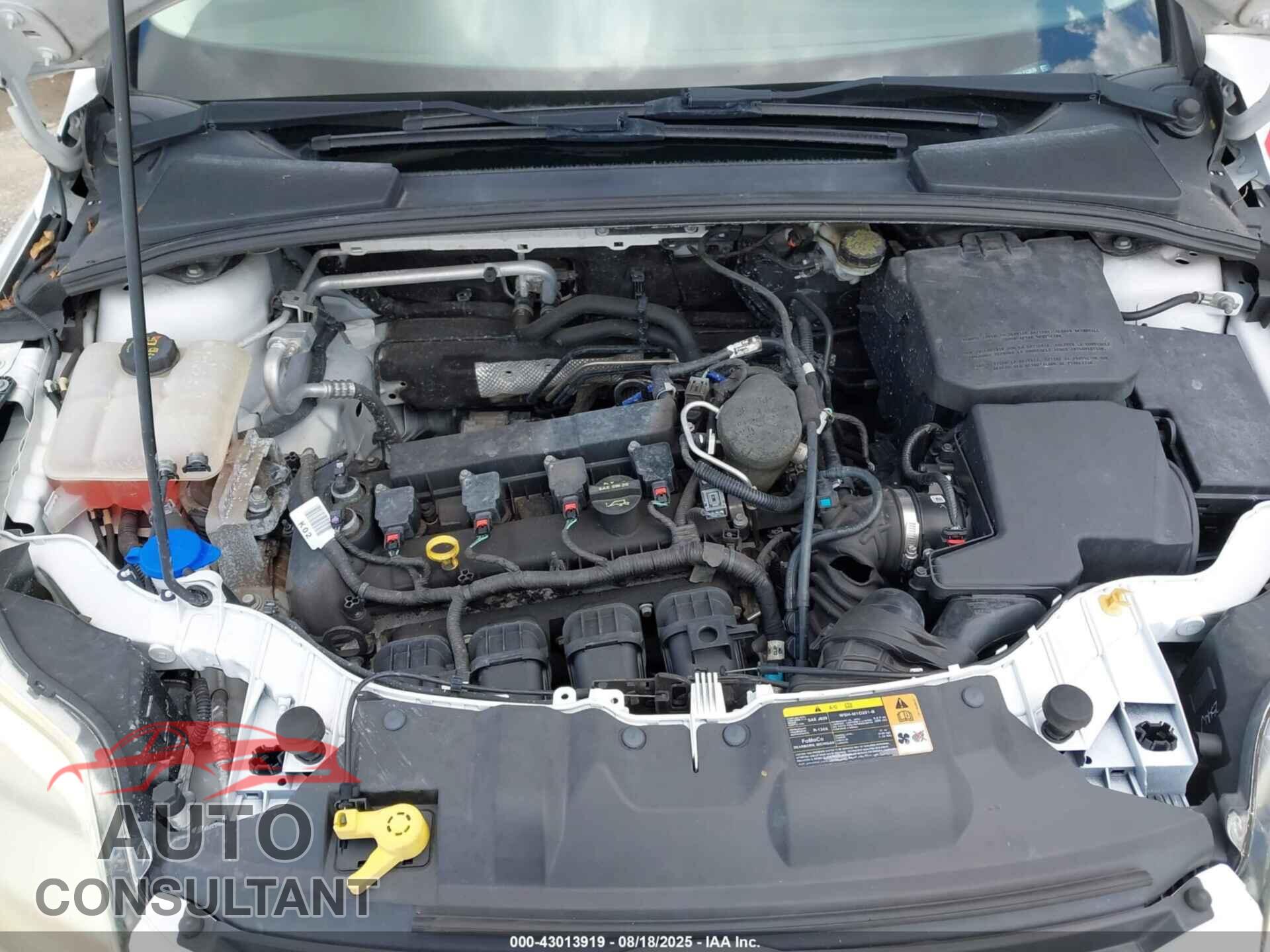 FORD FOCUS 2014 - 1FADP3K28EL213836