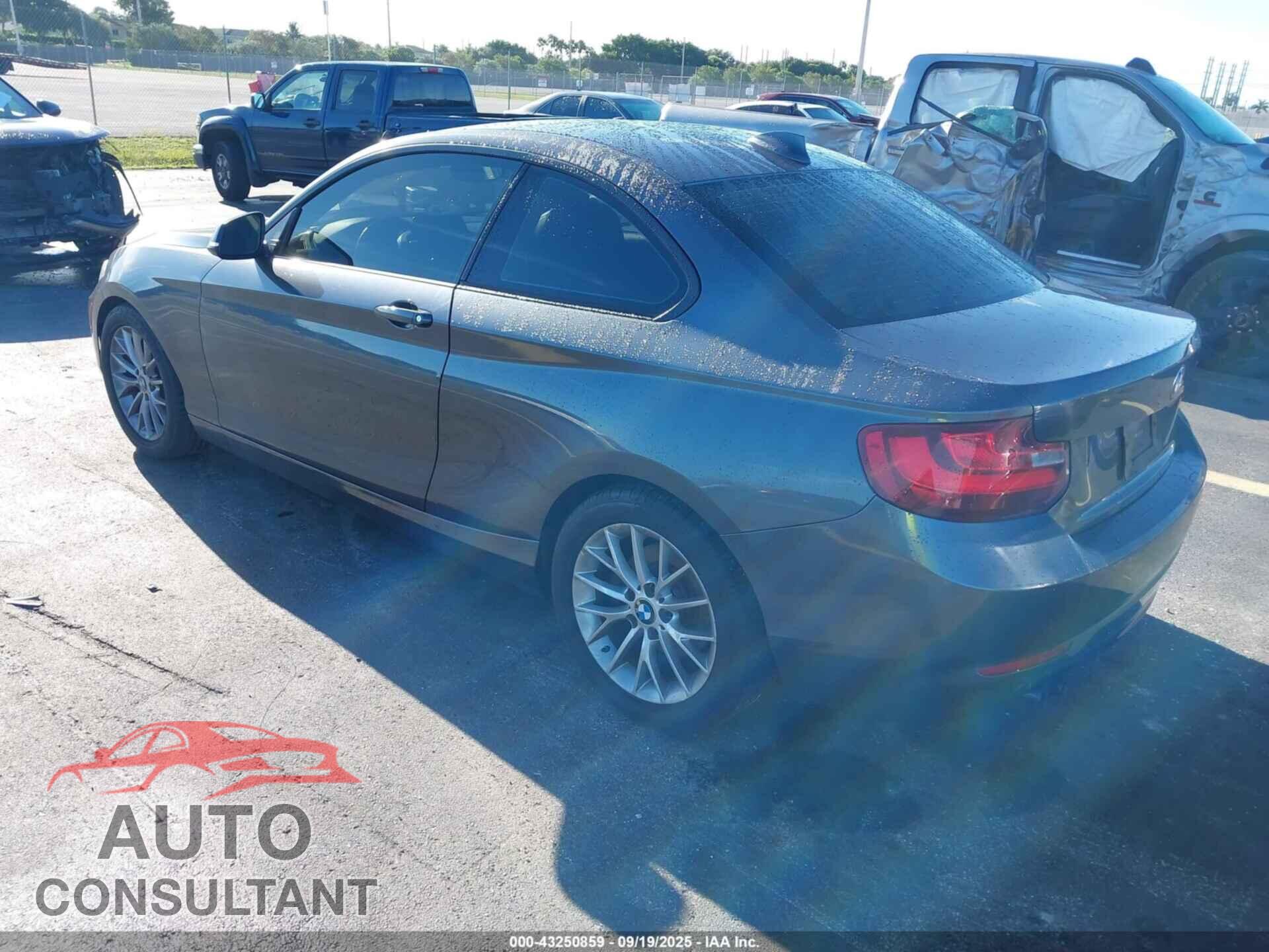 BMW 228I 2014 - WBA1F5C57EV255839