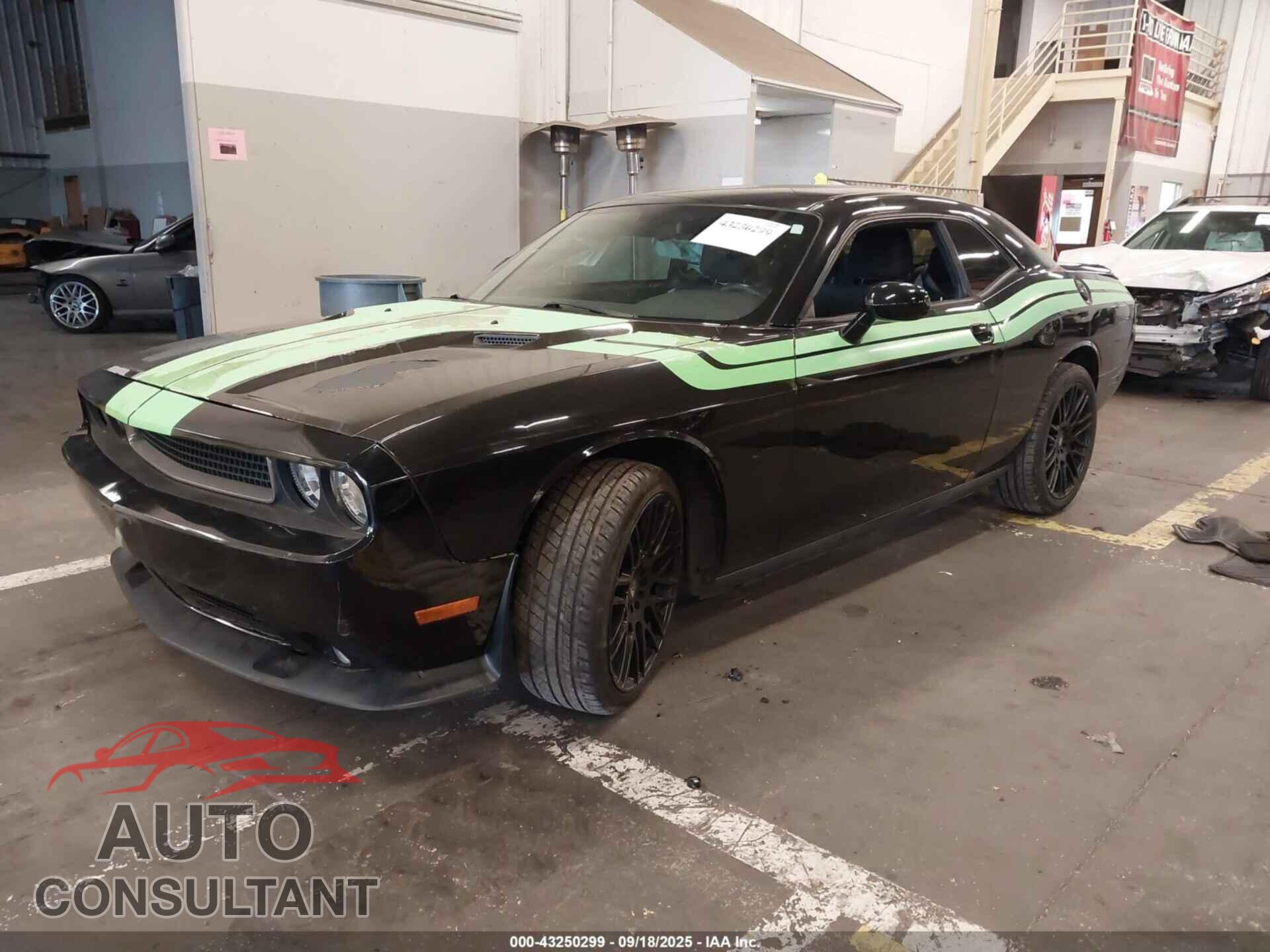 DODGE CHALLENGER 2013 - 2C3CDYAG7DH704245