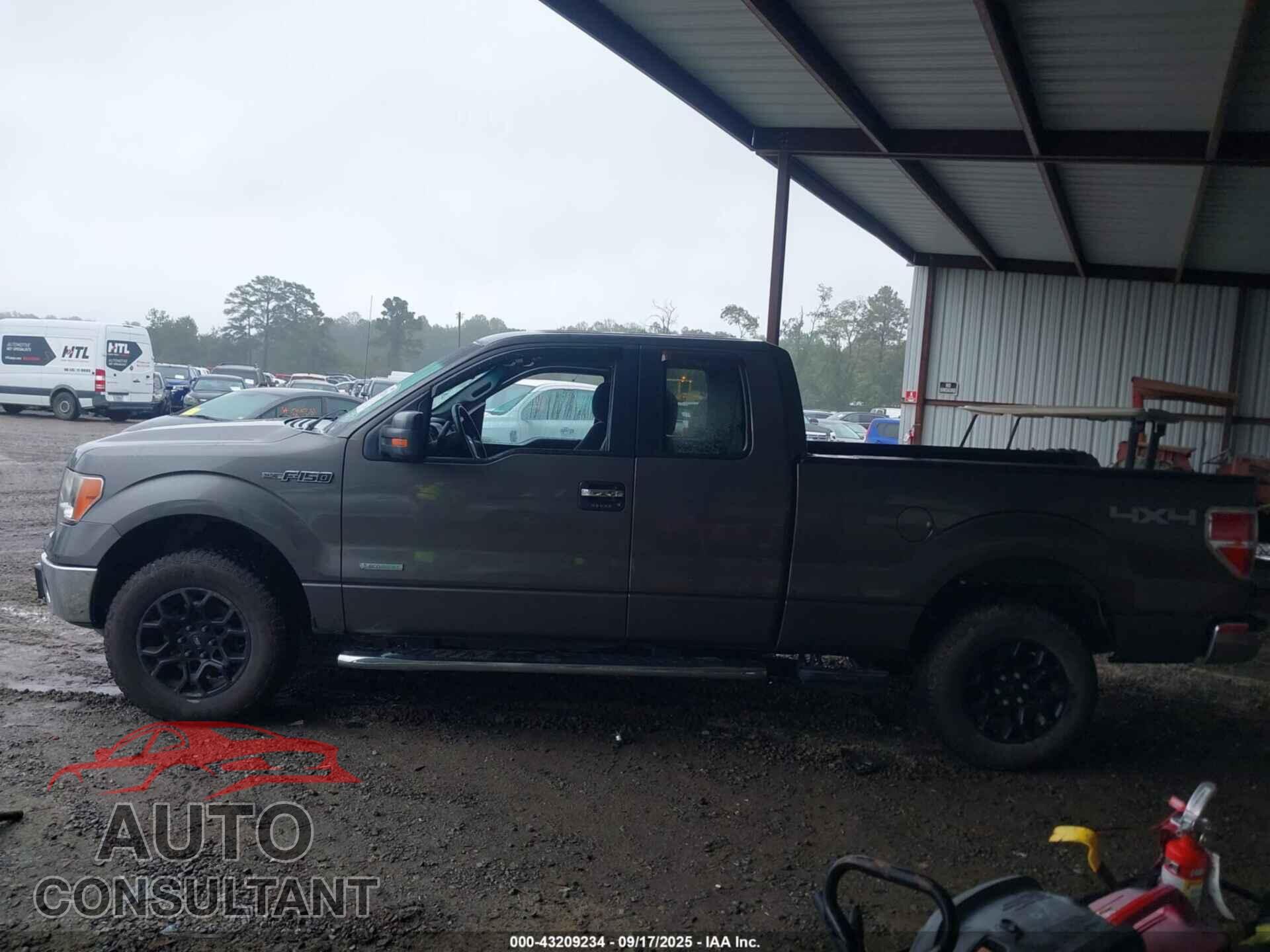 FORD F-150 2013 - 1FTFX1ET7DFD38464