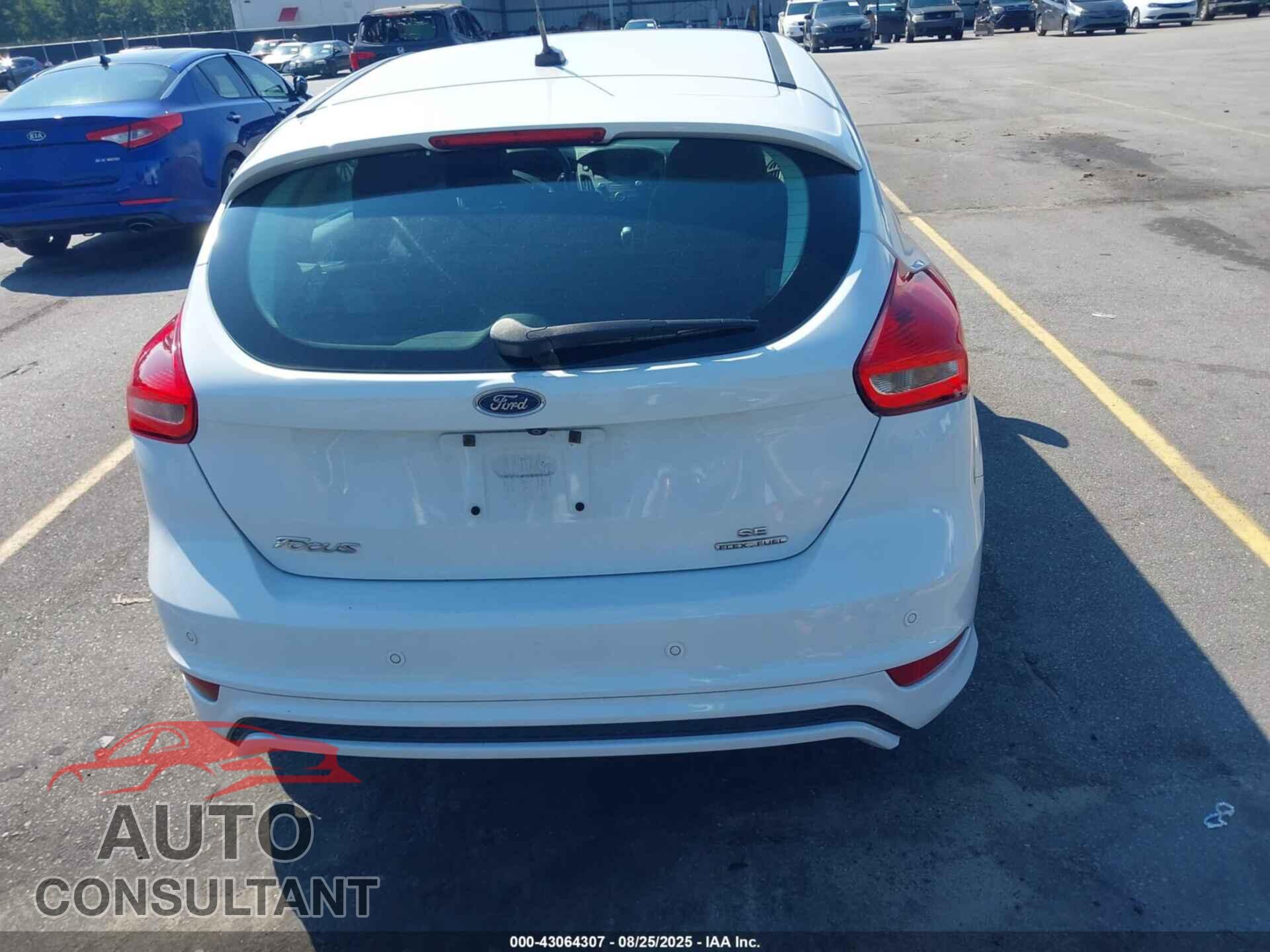 FORD FOCUS 2016 - 1FADP3K24GL331241
