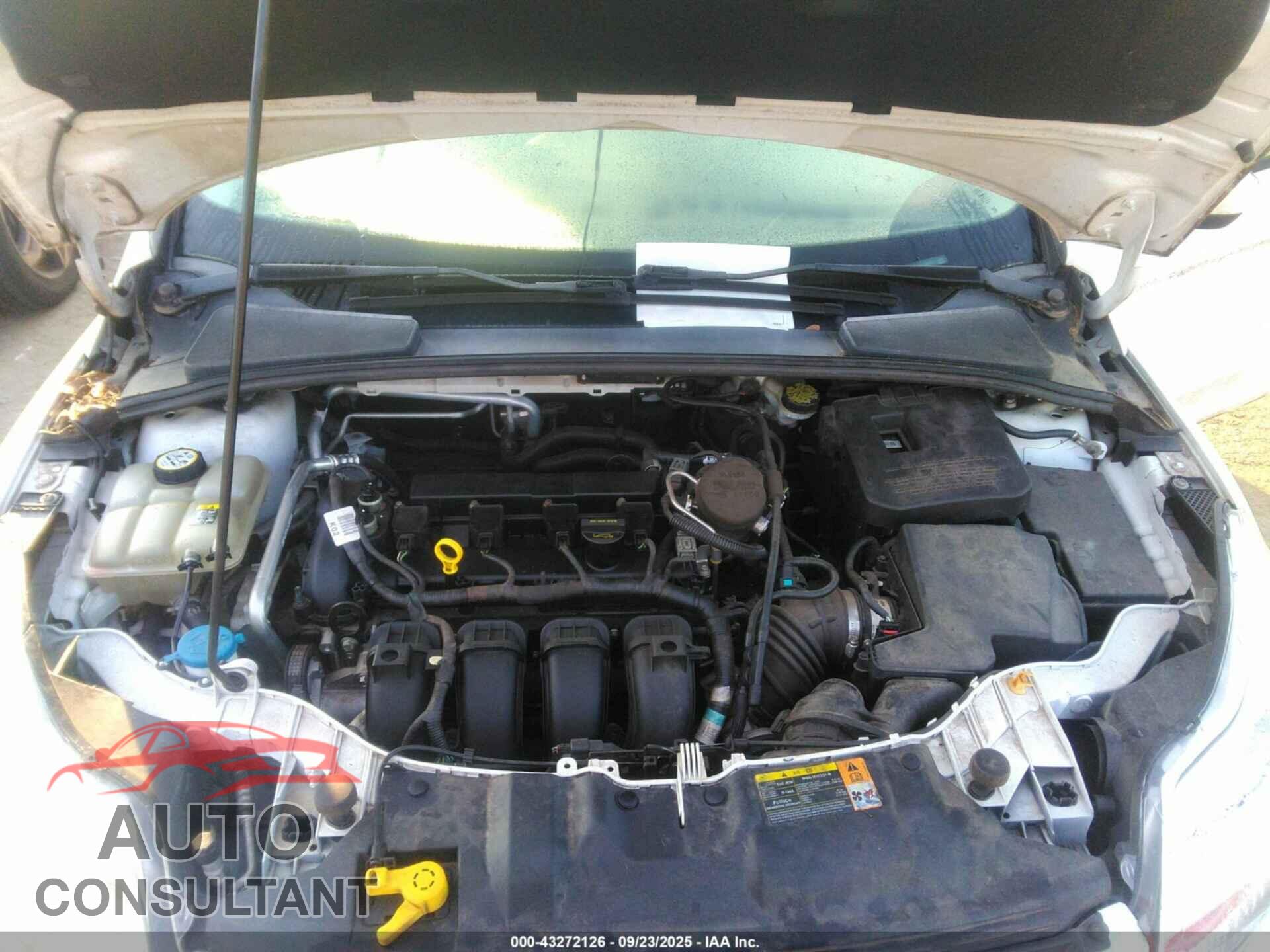 FORD FOCUS 2012 - 1FAHP3F27CL292912