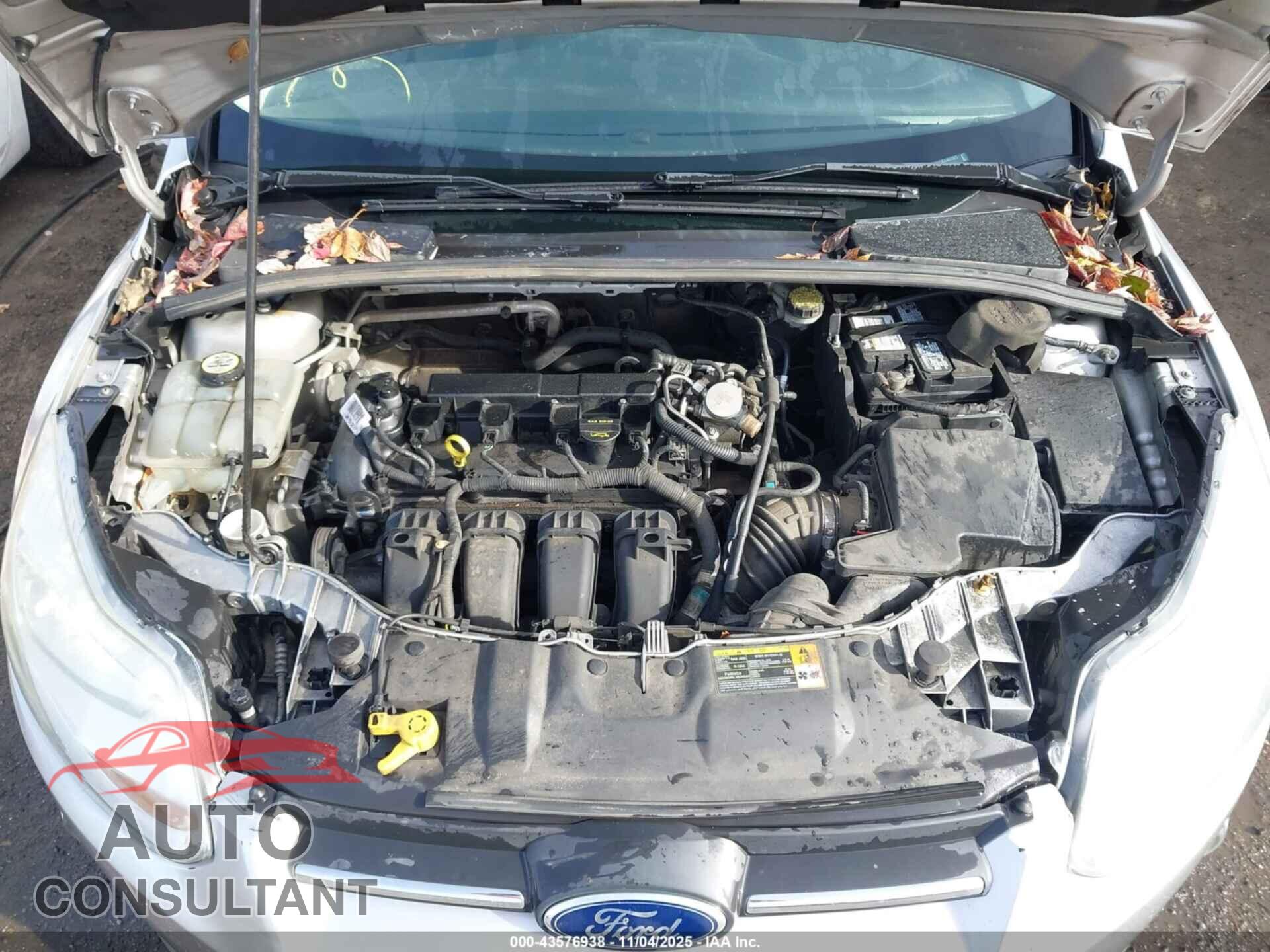 FORD FOCUS 2012 - 1FAHP3F23CL427321