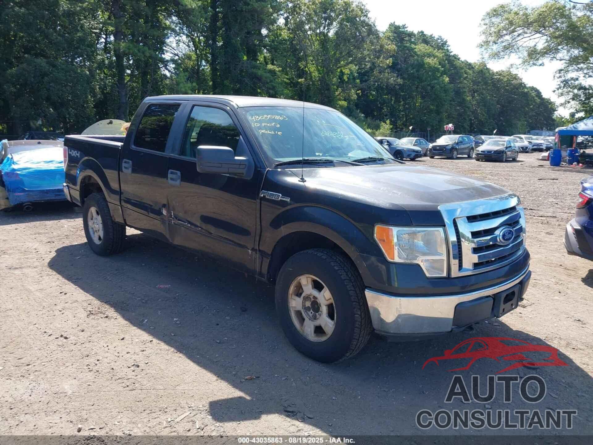 FORD F-150 2010 - 1FTEW1E85AFA90379