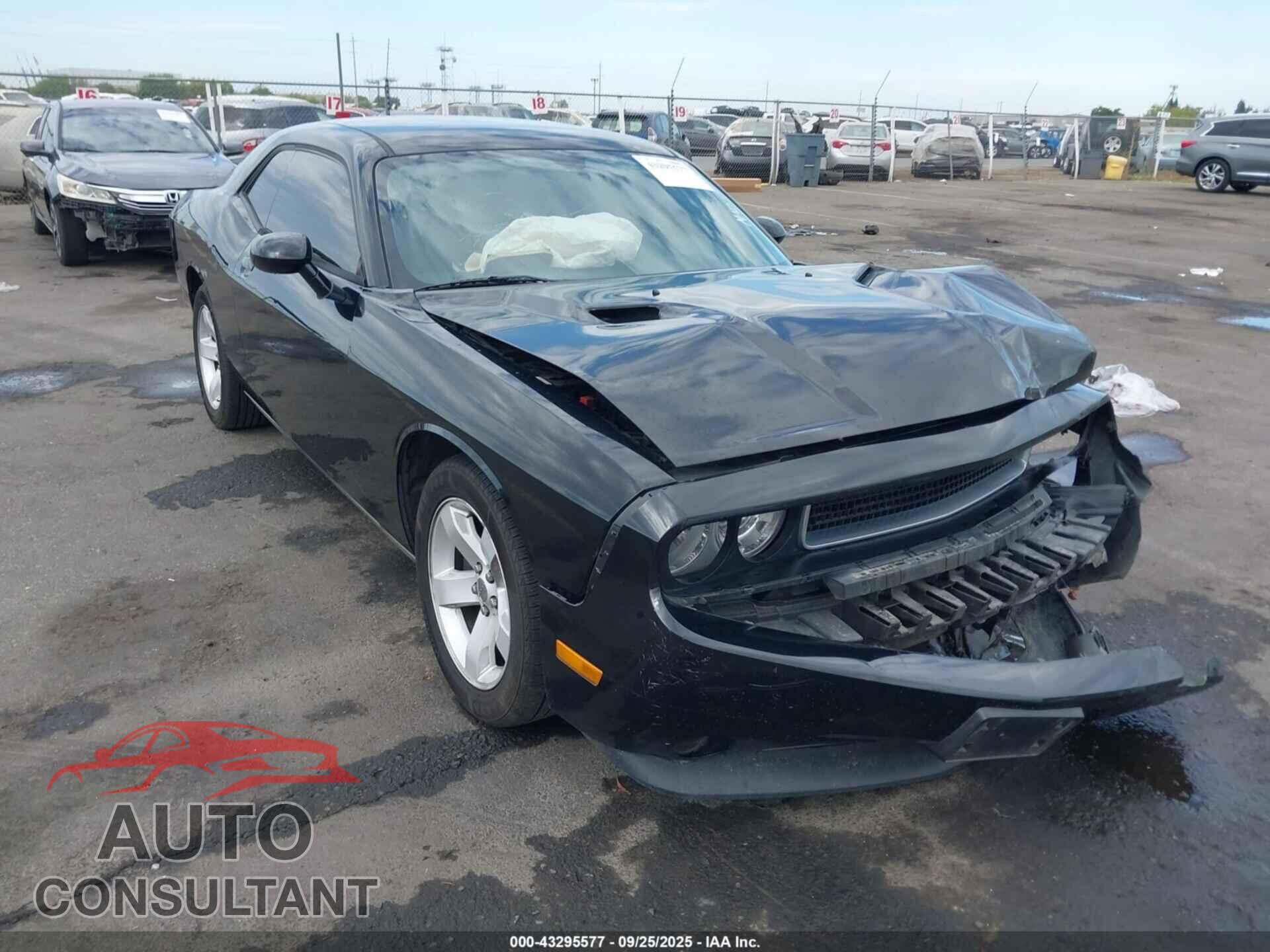 DODGE CHALLENGER 2013 - 2C3CDYAG8DH607460