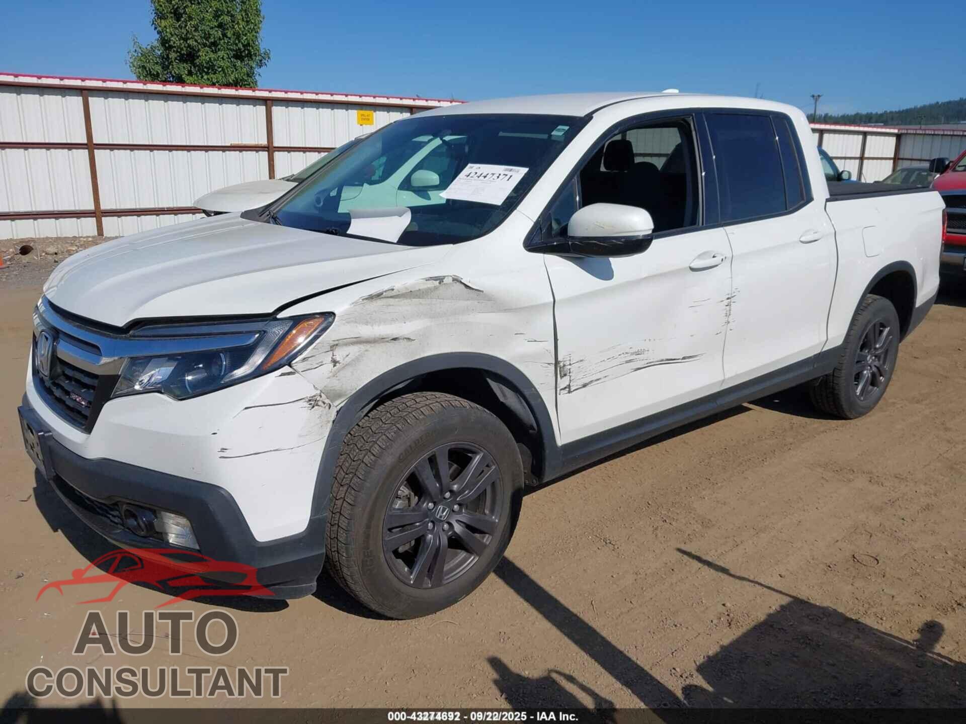 HONDA RIDGELINE 2019 - 5FPYK3F14KB045761