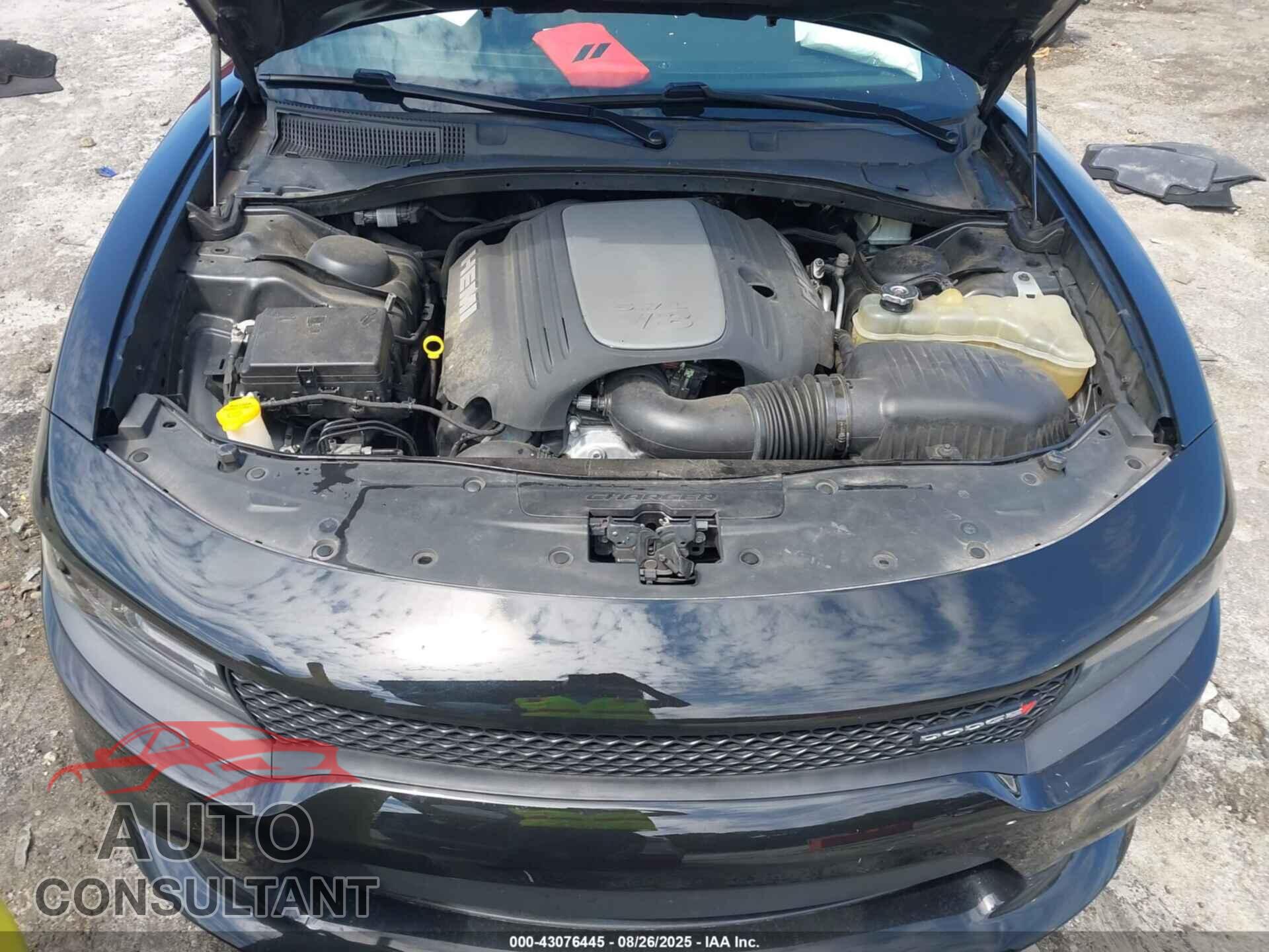 DODGE CHARGER 2019 - 2C3CDXCT7KH608424