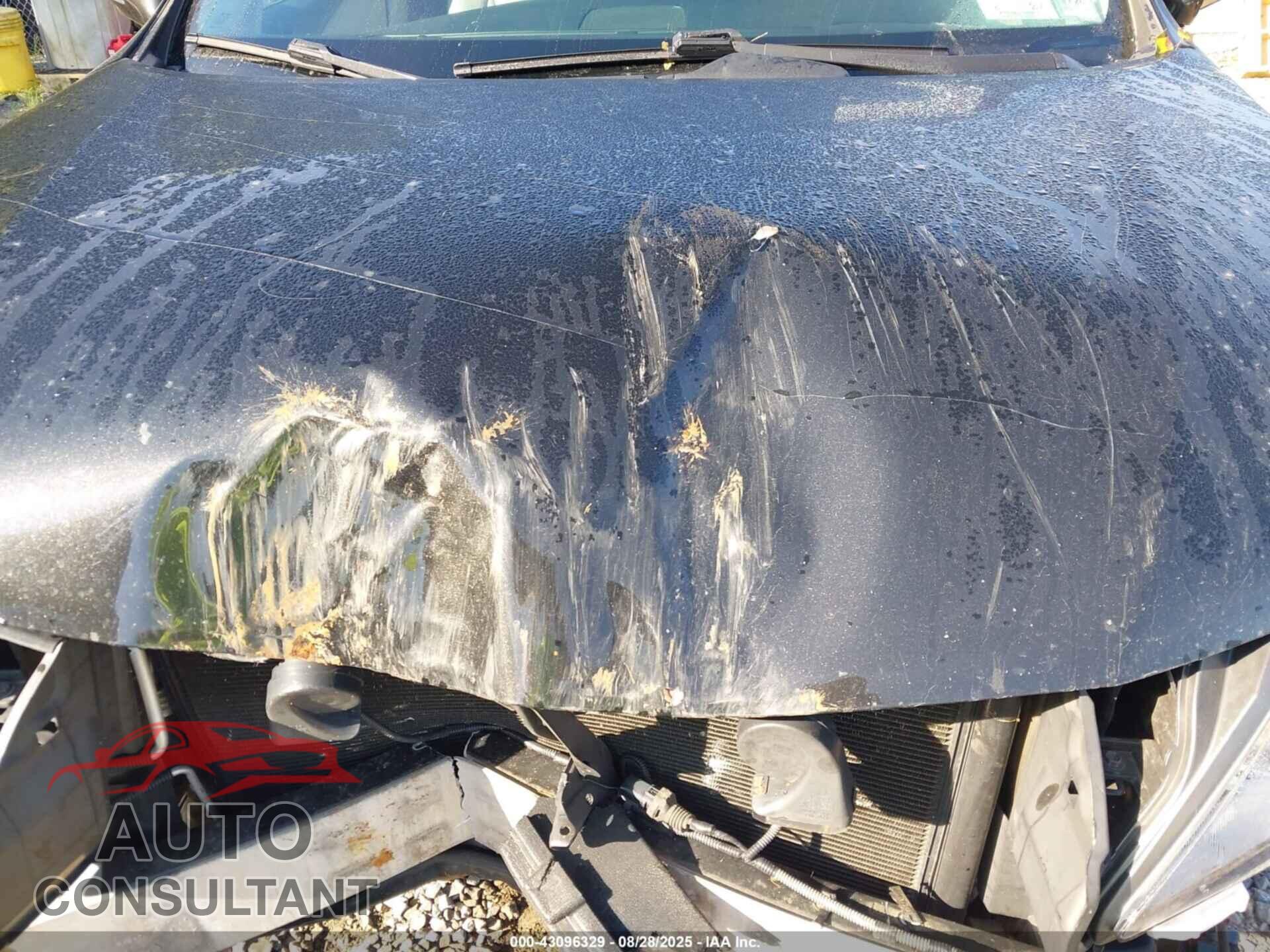 LEXUS RX 350 2011 - 2T2BK1BA2BC112446