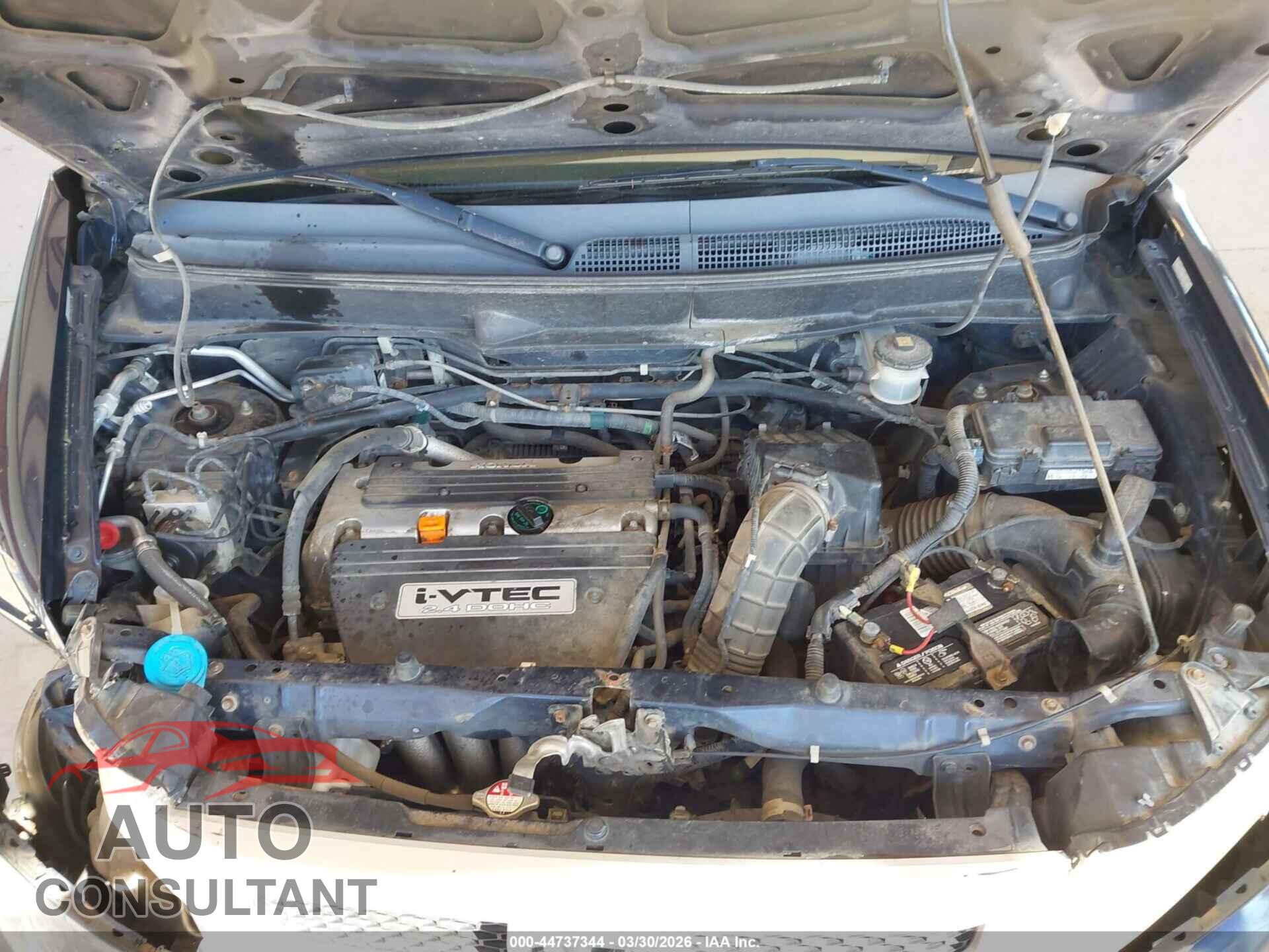 HONDA ELEMENT 2009 - 5J6YH28739L005305
