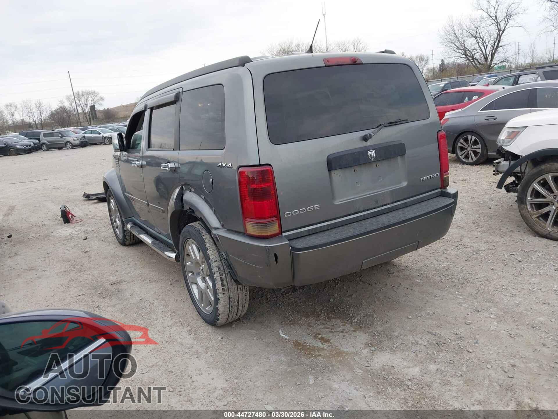 DODGE NITRO 2011 - 1D4PU4GK2BW604637
