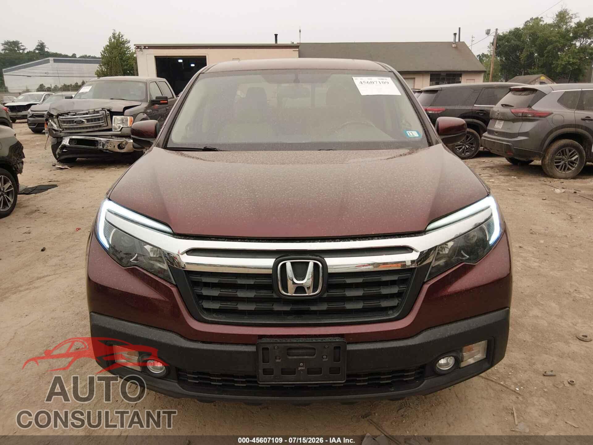 HONDA RIDGELINE 2019 - 5FPYK3F61KB019727