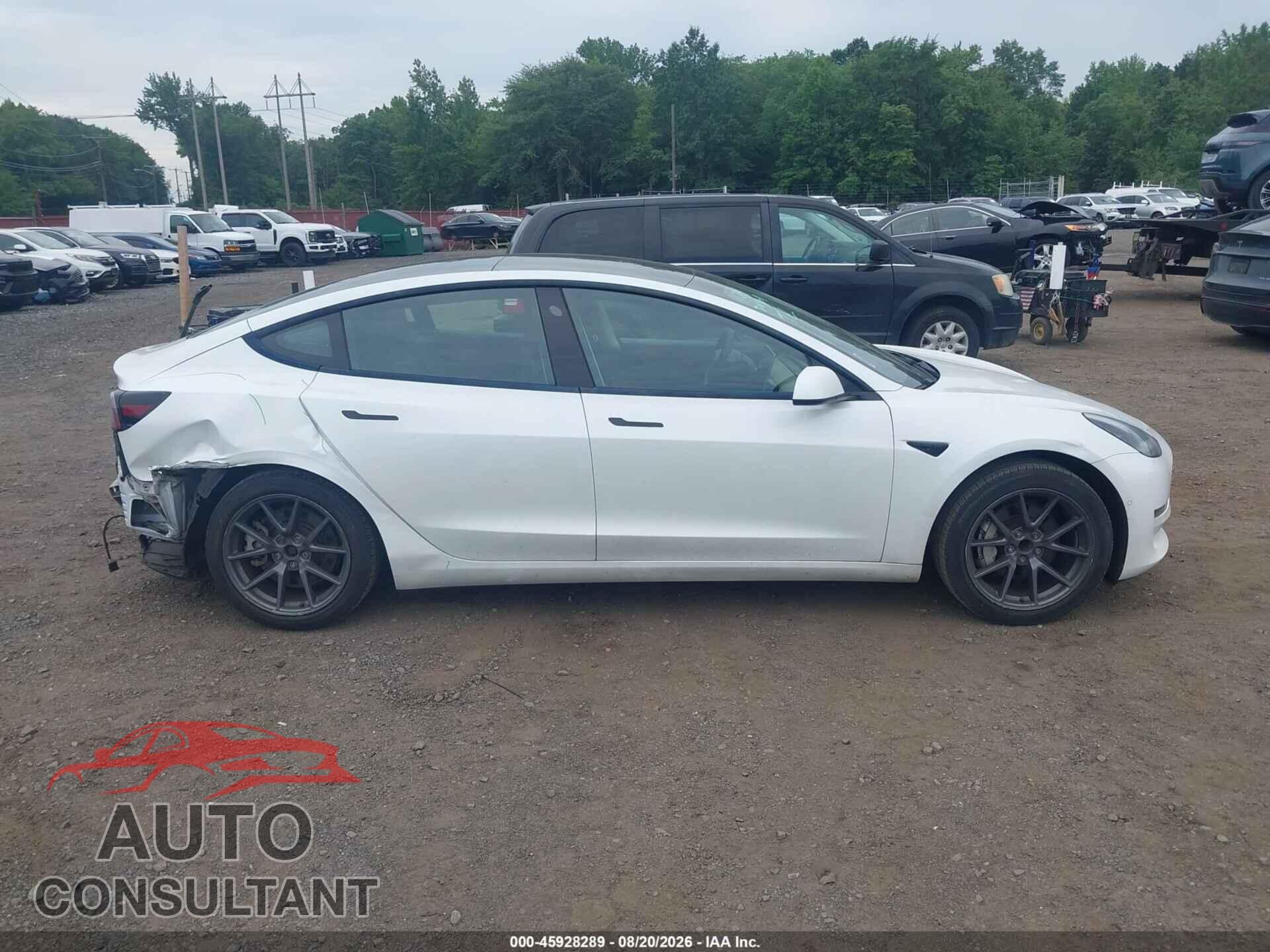 TESLA MODEL 3 2021 - 5YJ3E1EA1MF857778
